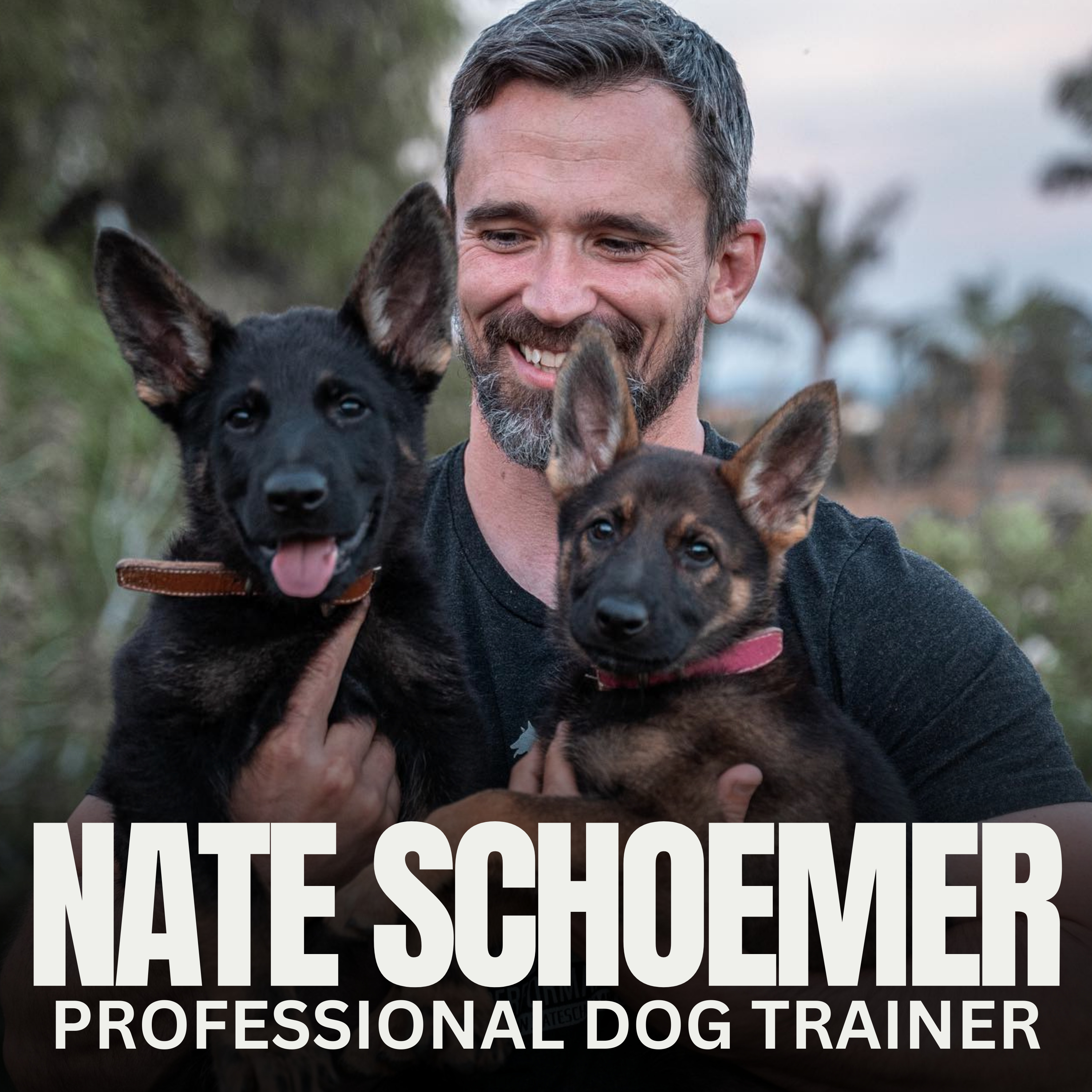 Nate Schoemer Dog Training Podcast