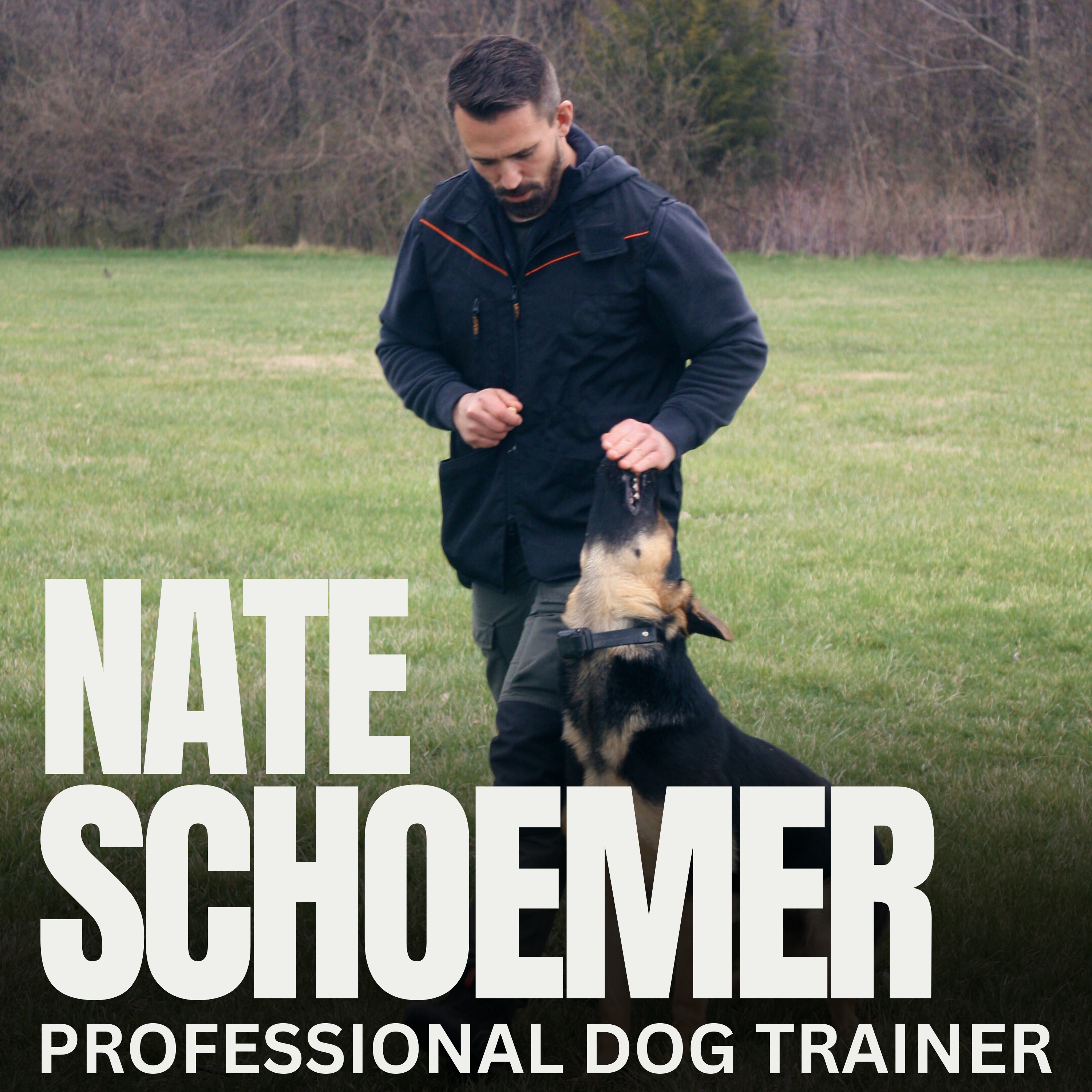 Nate Schoemer Dog Training Podcast