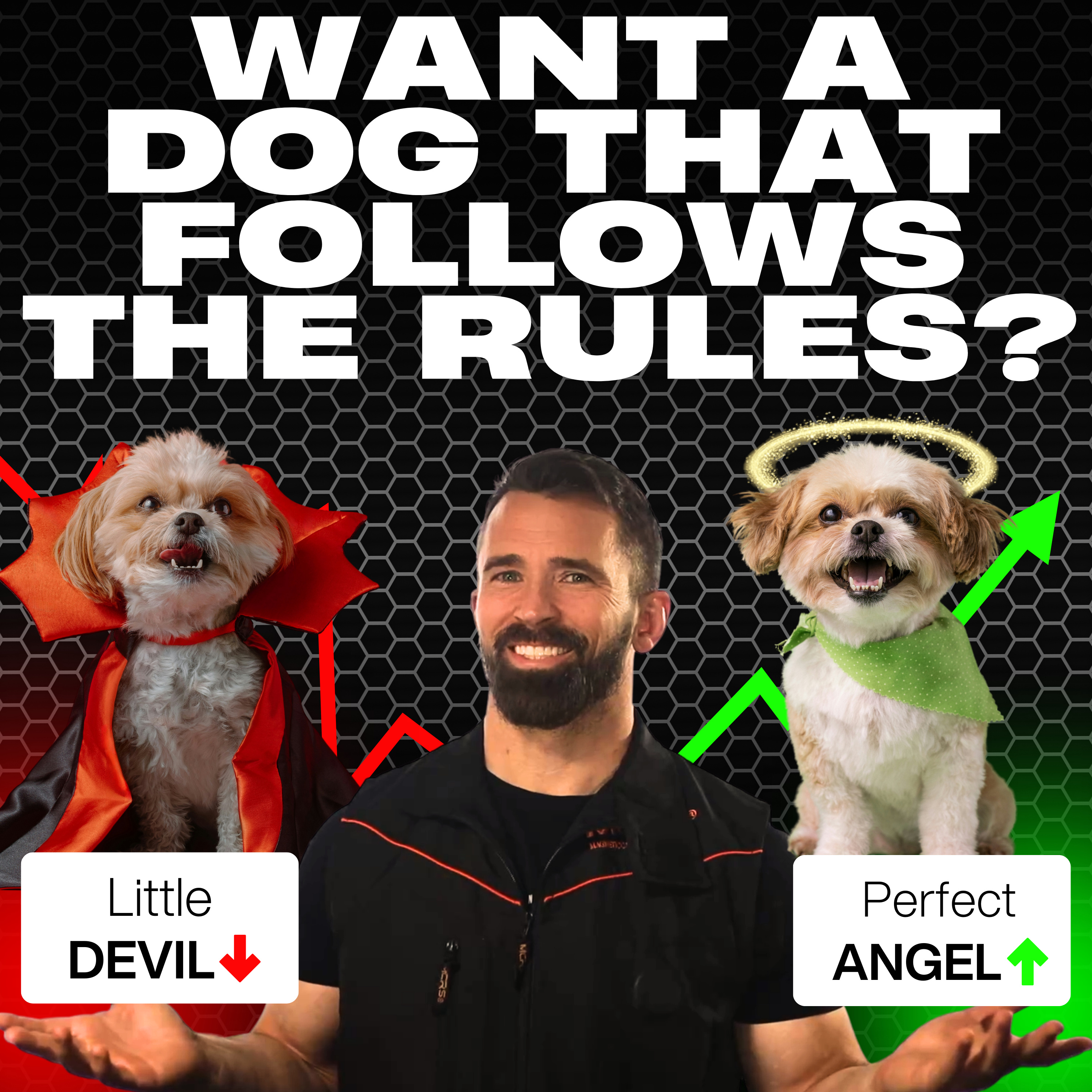 Nate Schoemer Dog Training Podcast