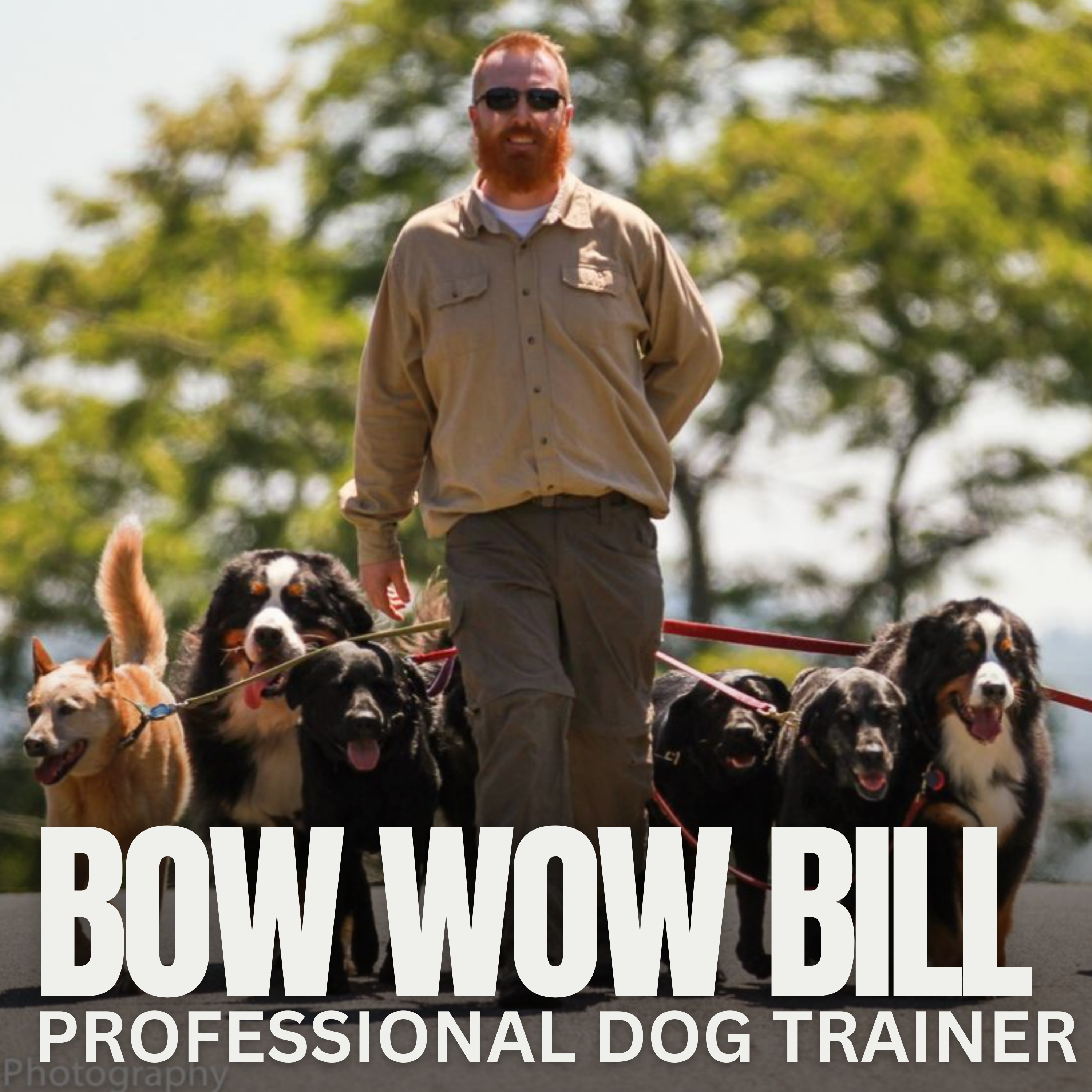 Nate Schoemer Dog Training Podcast