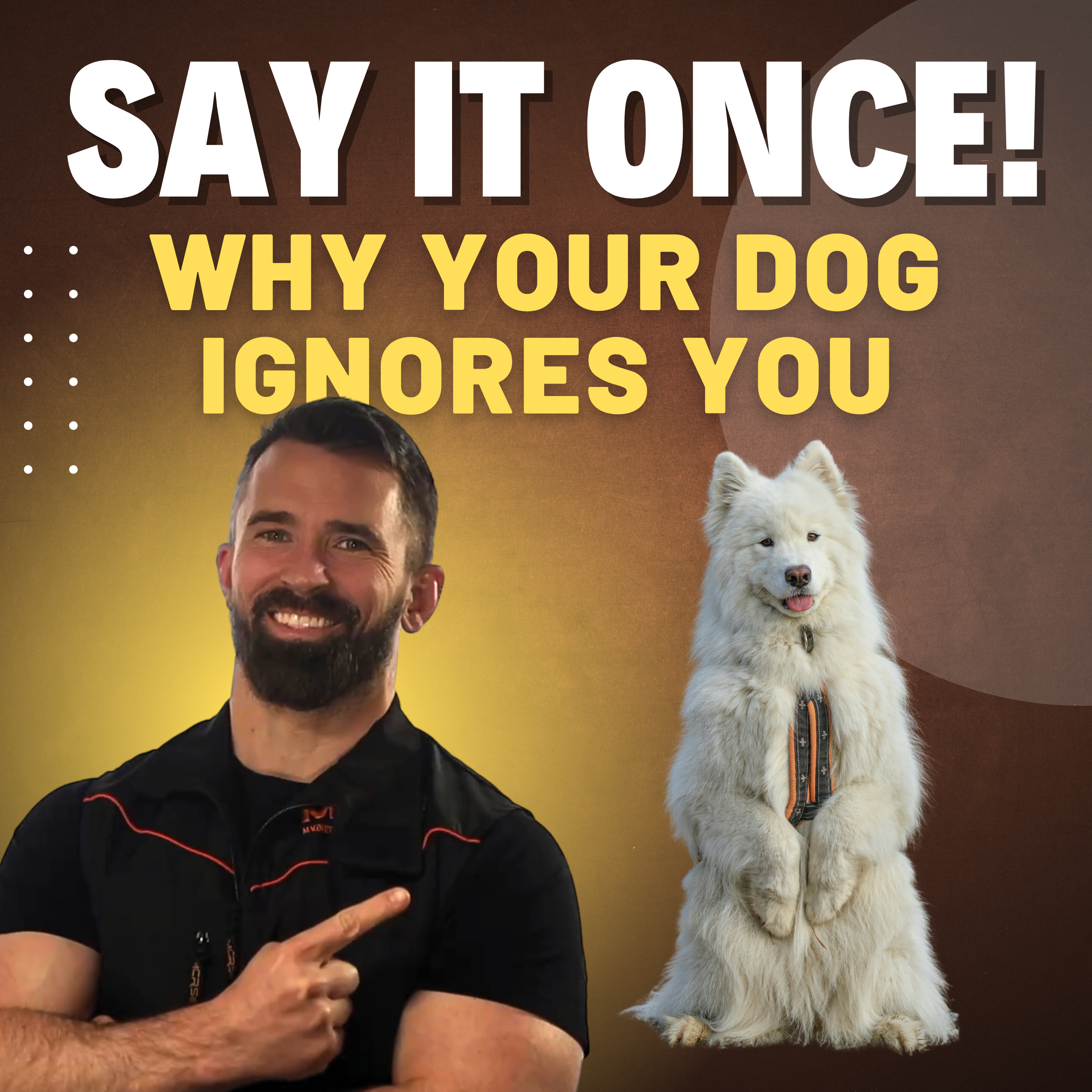 Nate Schoemer Dog Training Podcast