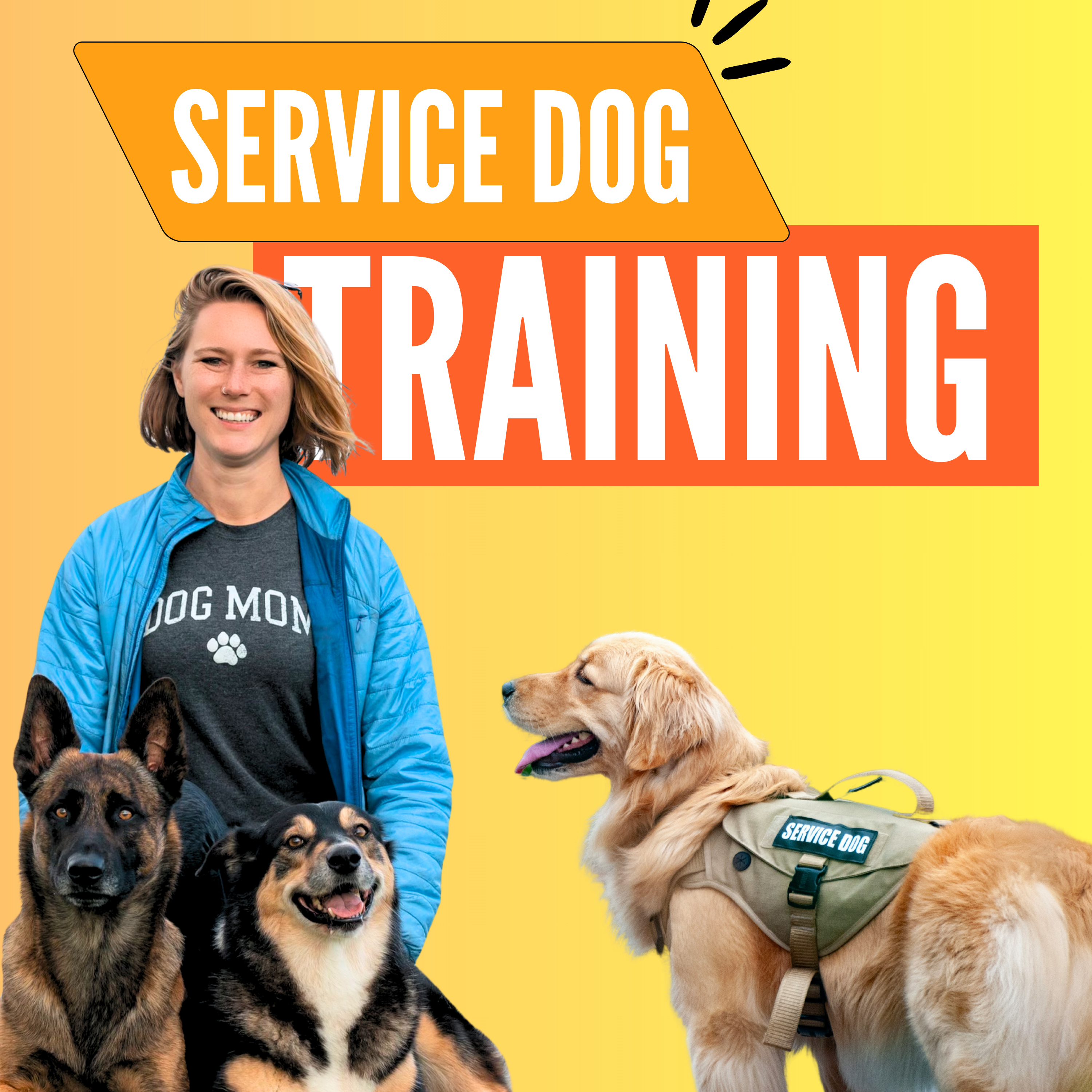 Nate Schoemer Dog Training Podcast