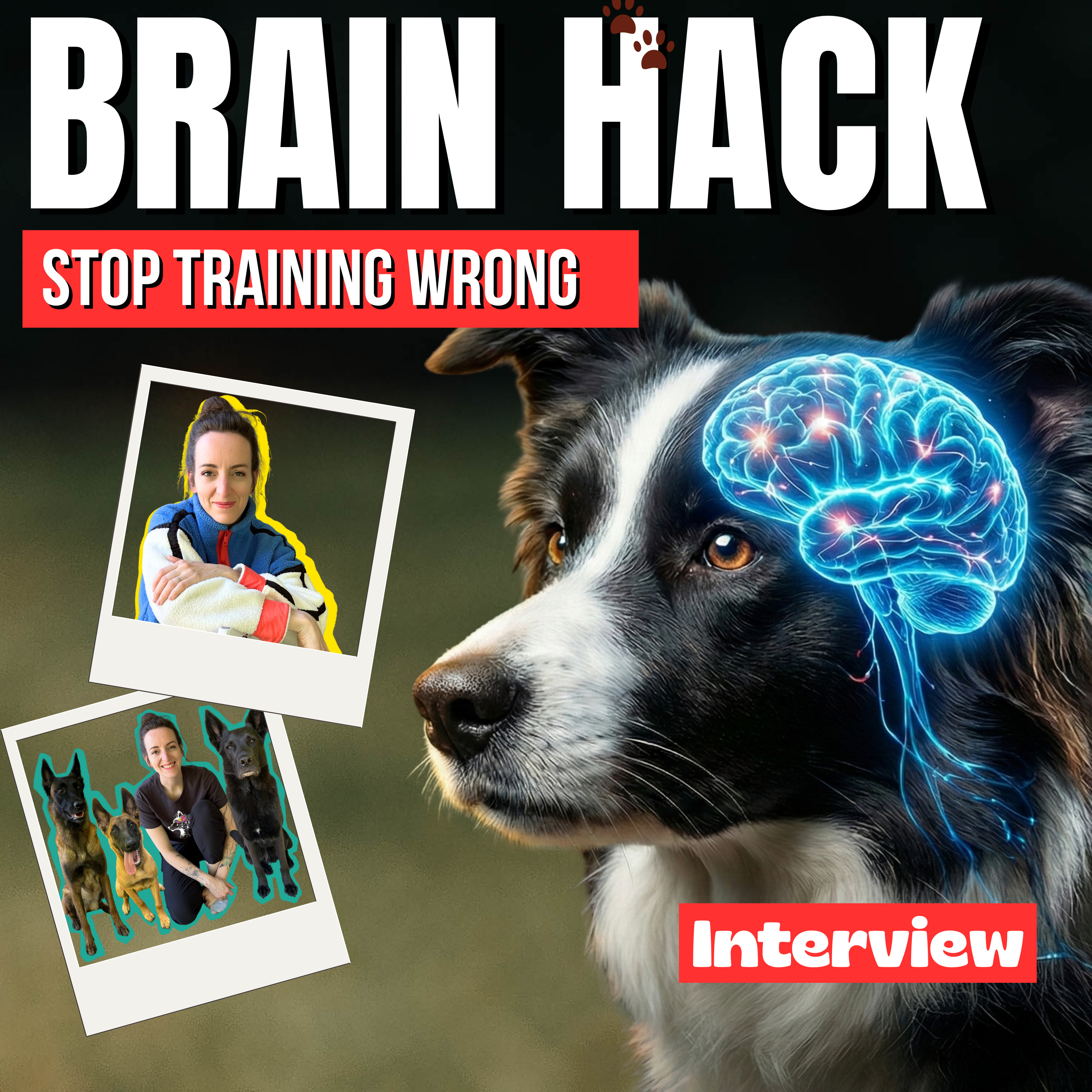 Ep. 43 - The Brain Hack That Builds Confident, Resilient Dogs (Not Calm Ones) episode artwork