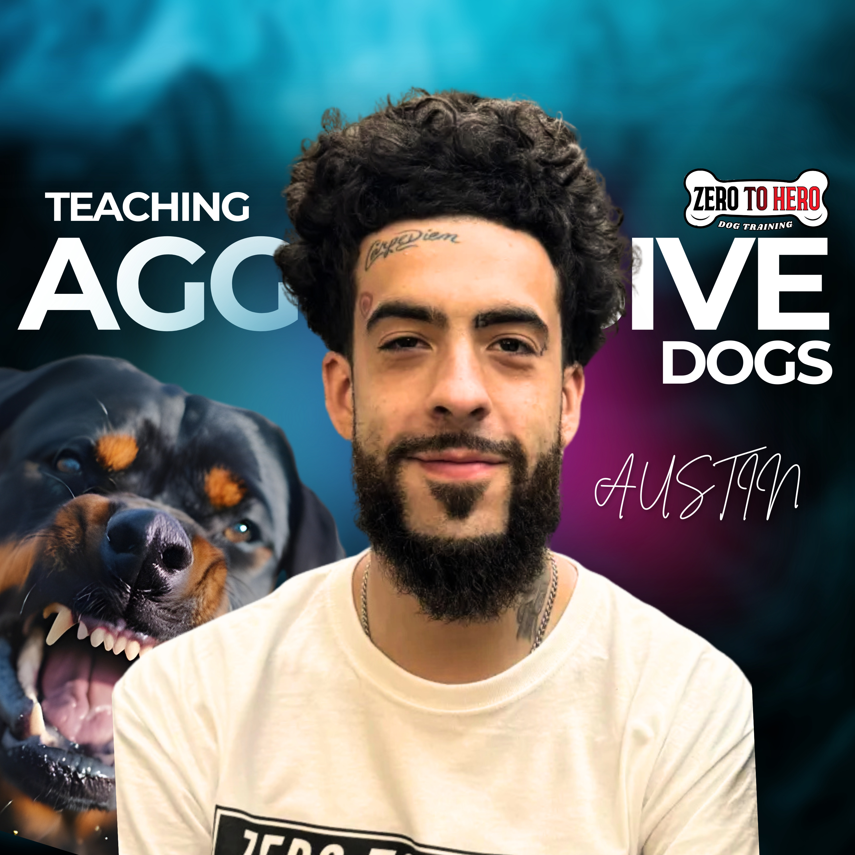 Nate Schoemer Dog Training Podcast