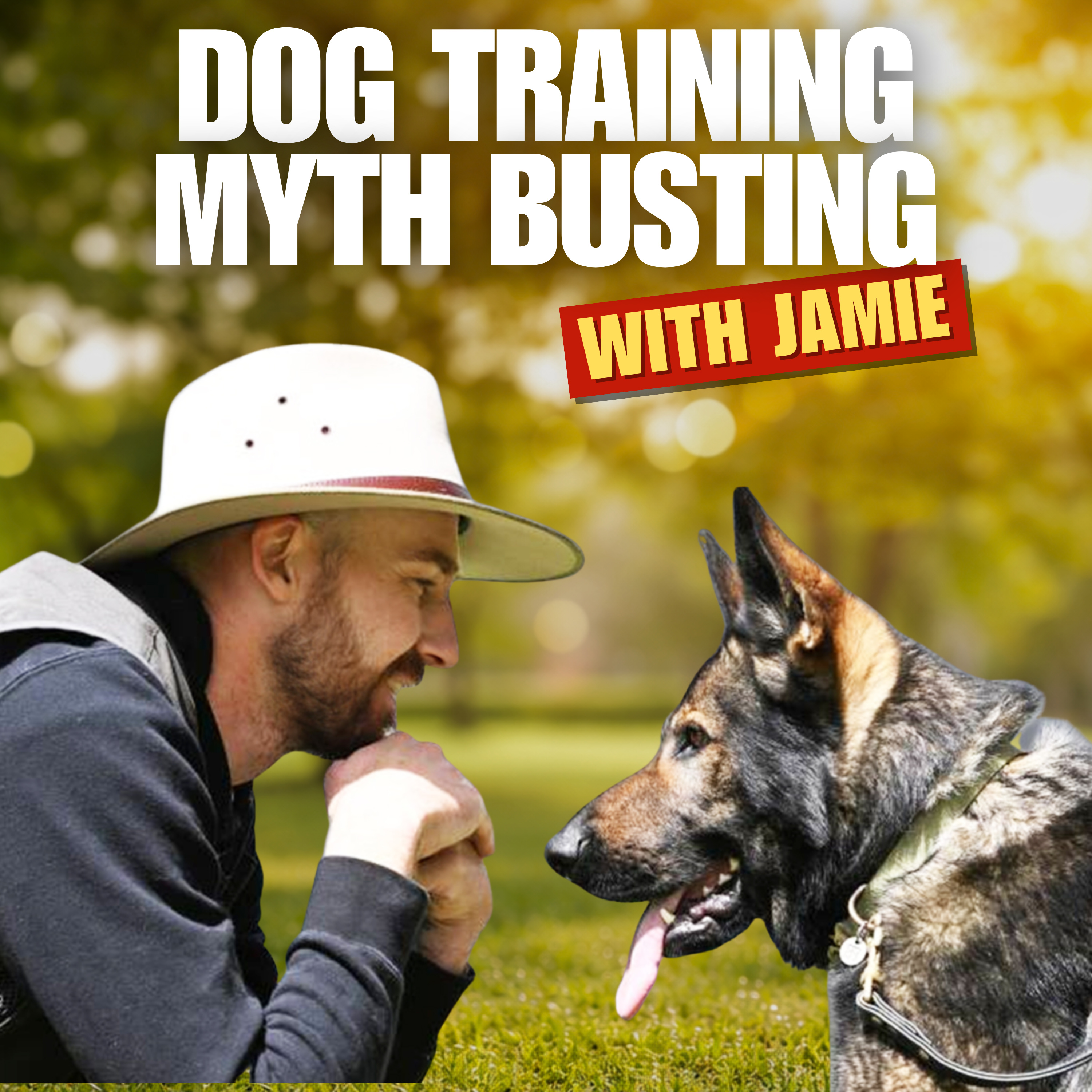 Ep. 47 - The Trick Training Method That Makes Obedience Easy | Jamie The Dog Trainer Interview episode artwork