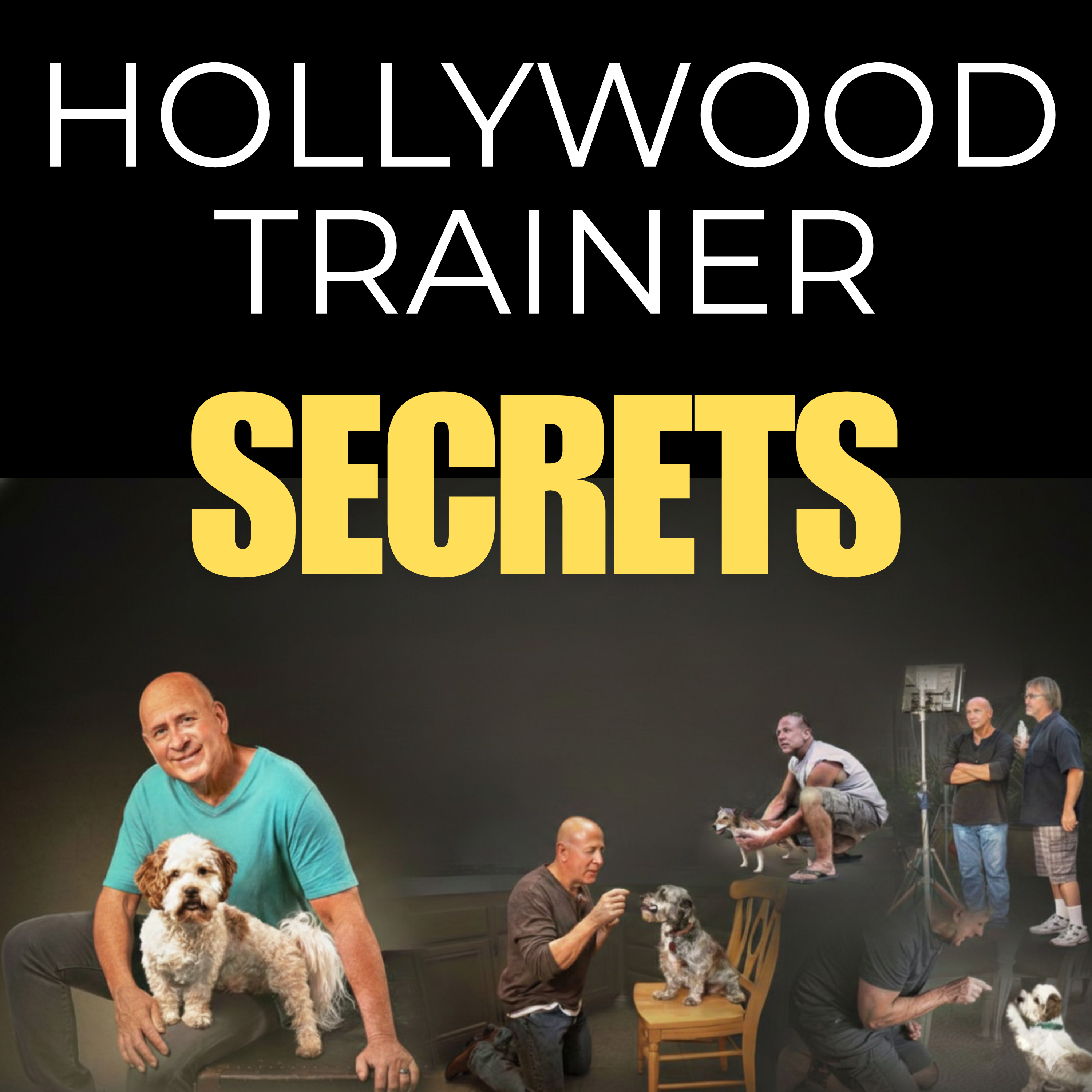Ep. 50 - Hollywood Dog Trainer Reveals What Most Trainers Get Wrong episode artwork