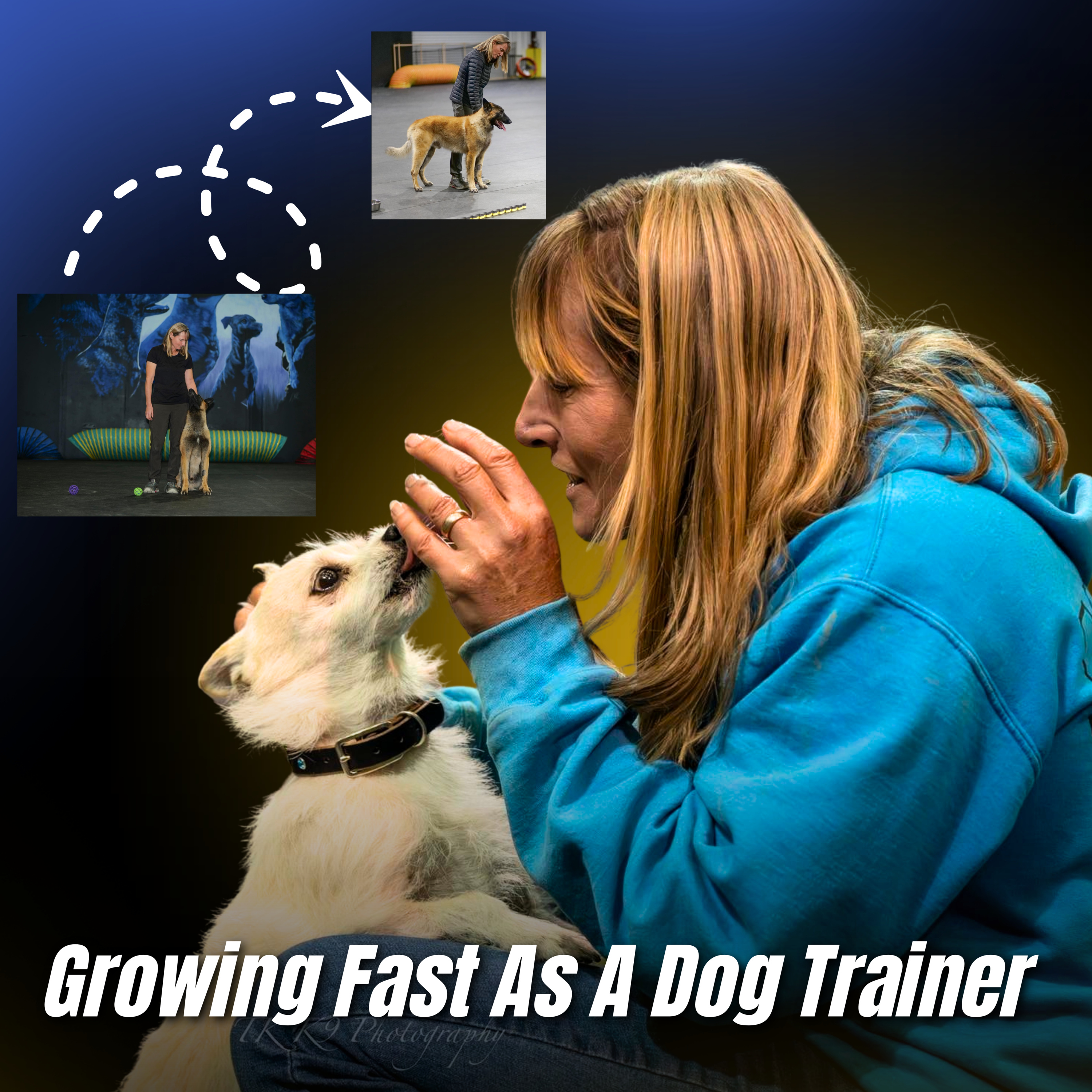 Ep. 52 - Denise Fenzi: Why Dog Training Education Matters More Than Ever episode artwork