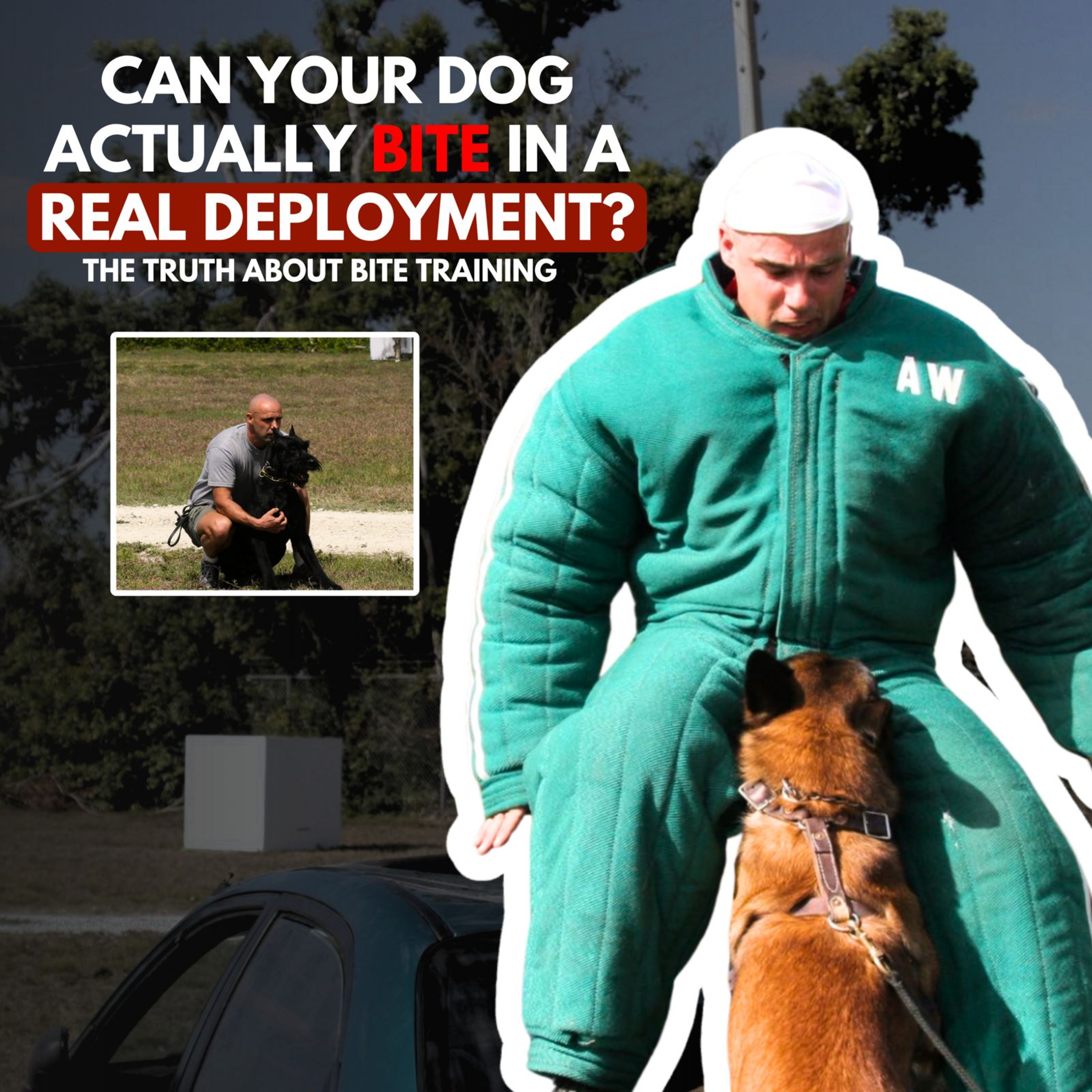 Ep. 53 - Top-Level Dogs for Elite Units (What Most Trainers Don’t Understand) | Armin Winkler episode artwork