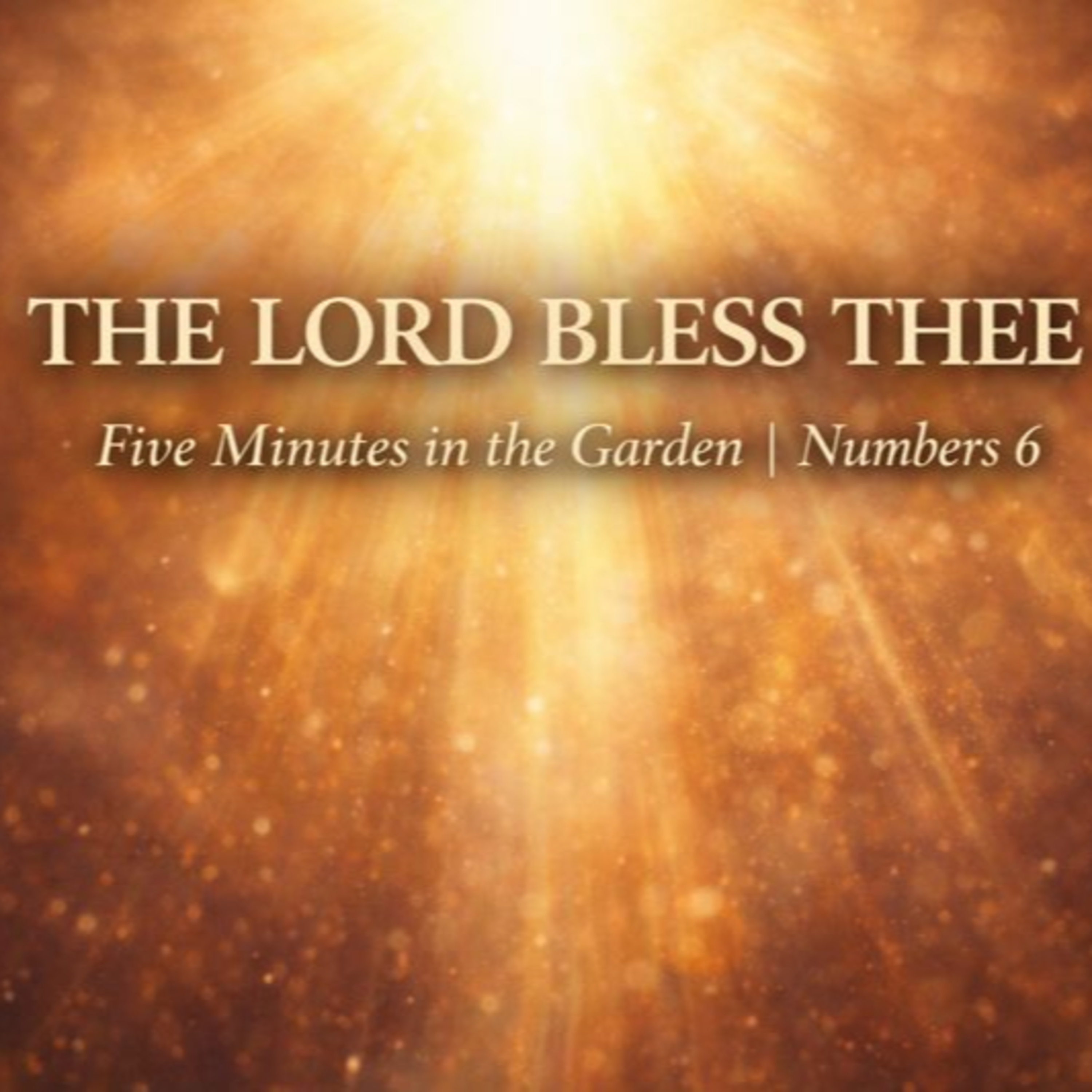 Episode 4 - The Blessing of His Name episode artwork