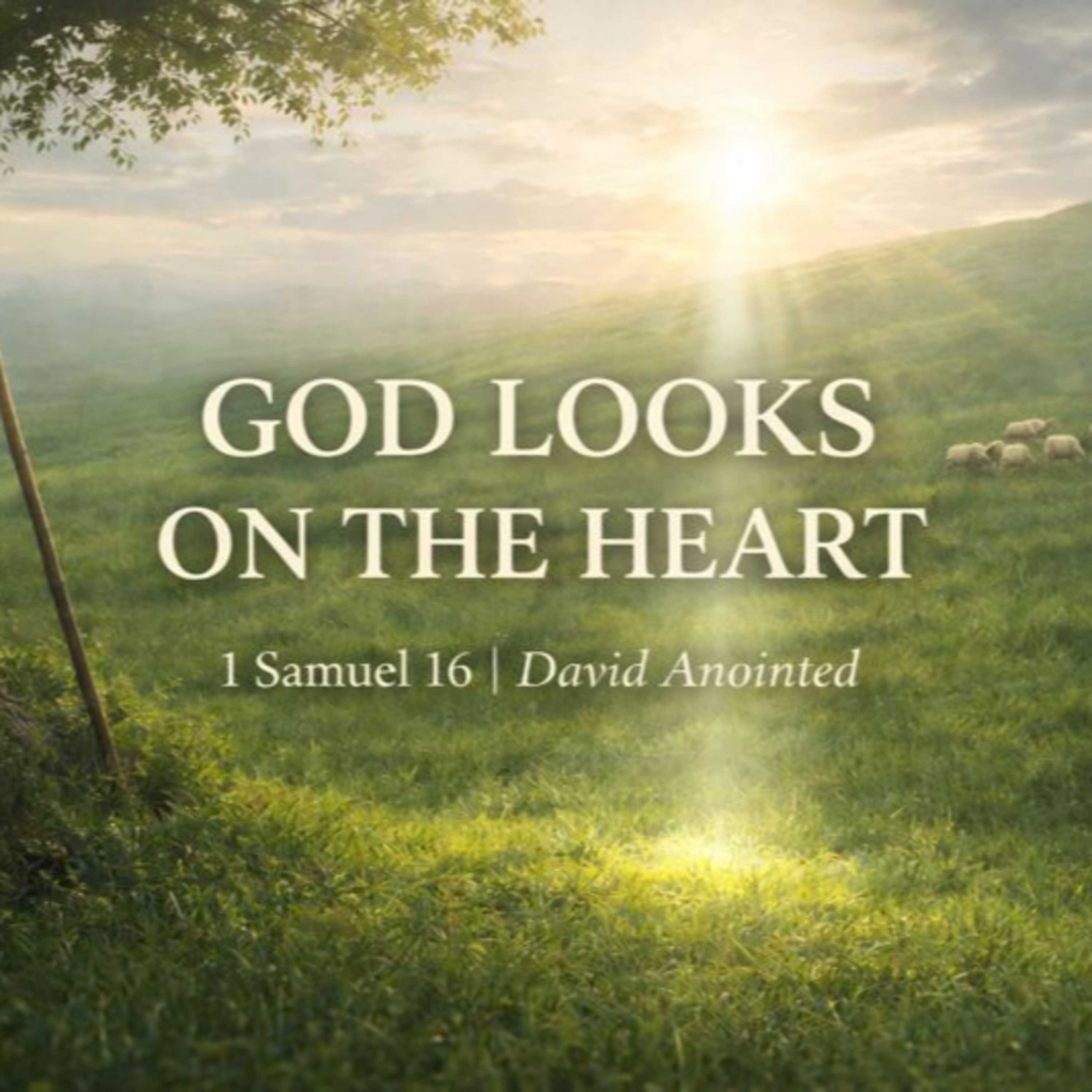 Episode 9 - The Lord Looketh on the Heart episode artwork