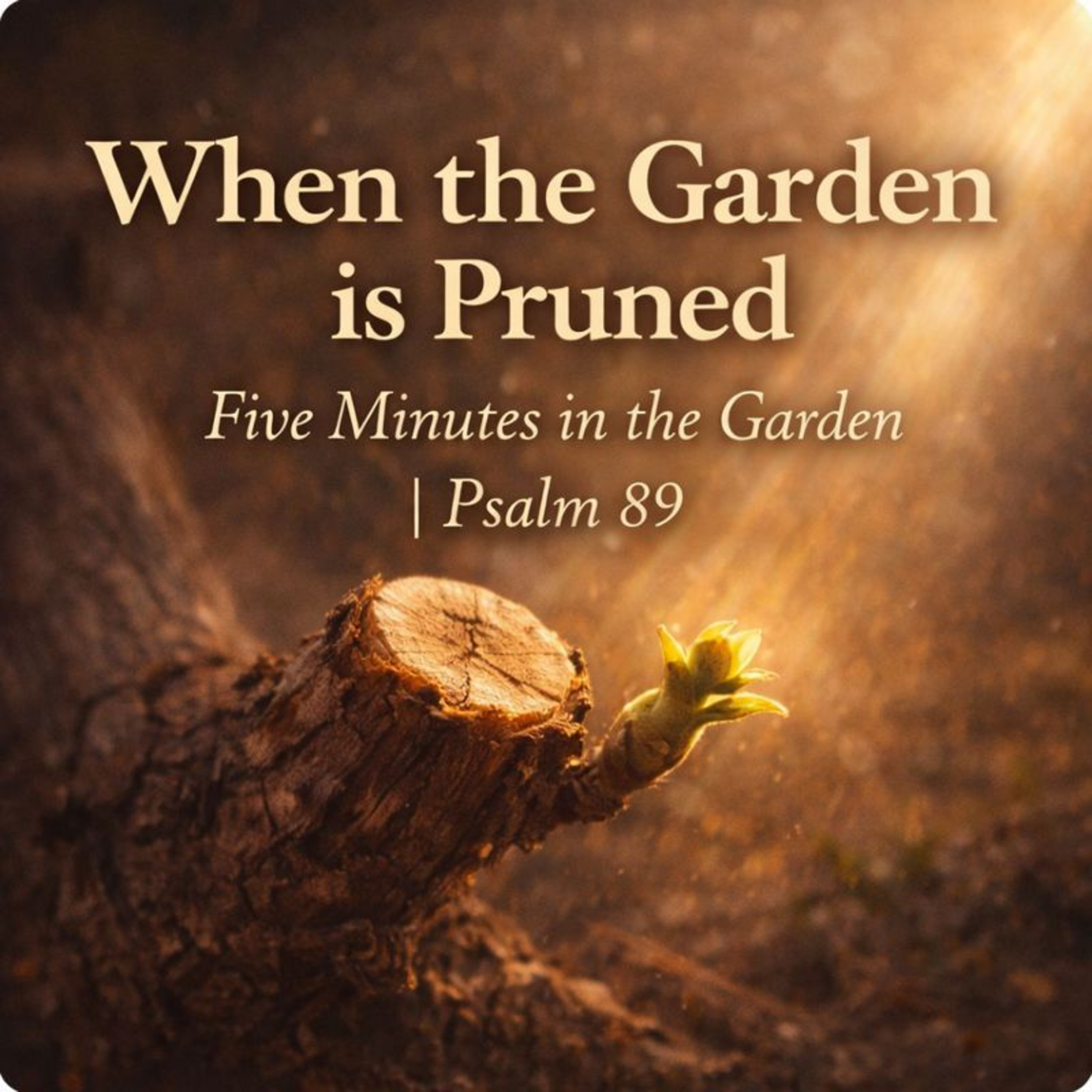 Episode 13 - When the Garden Is Pruned episode artwork