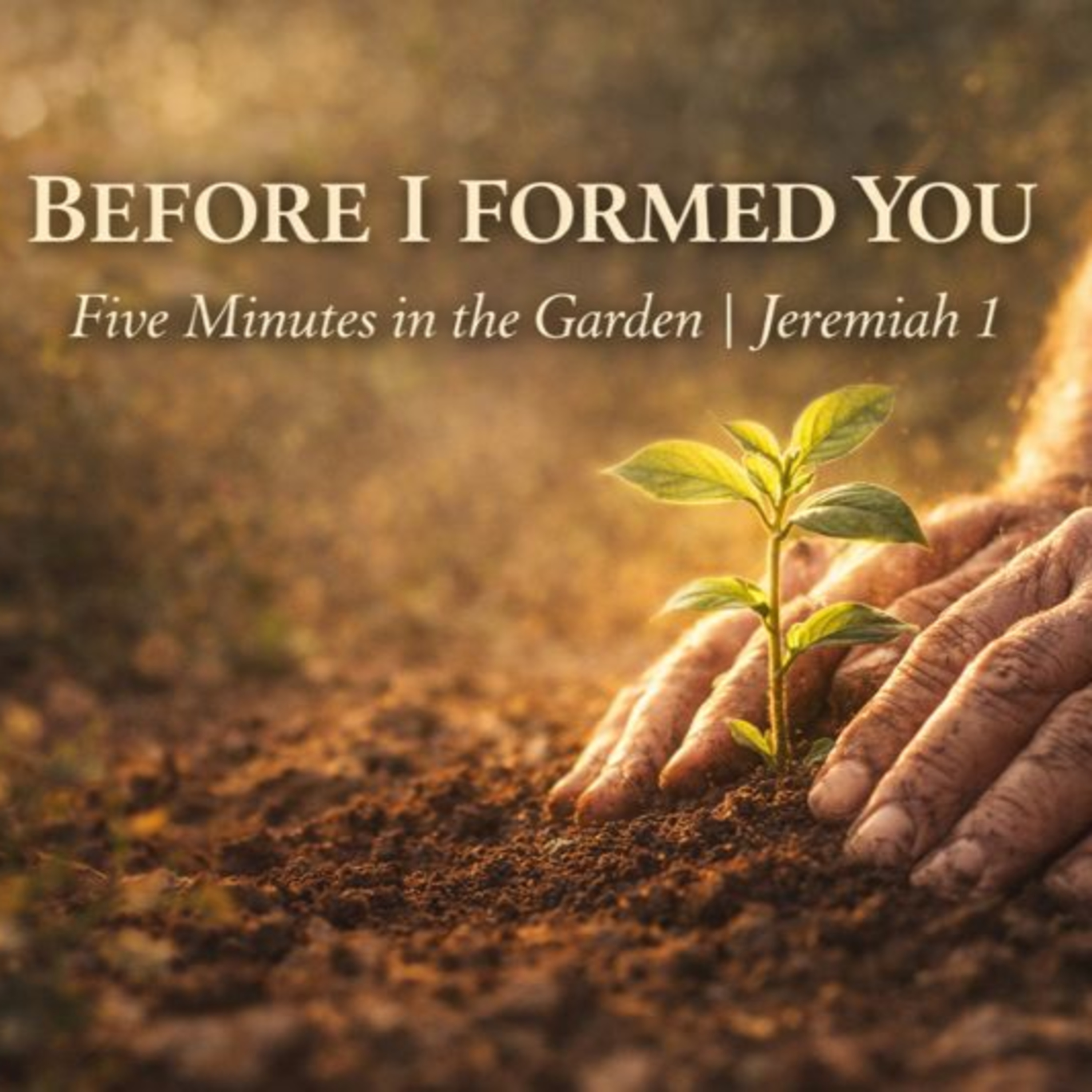 Episode 17 - Before I Formed You episode artwork