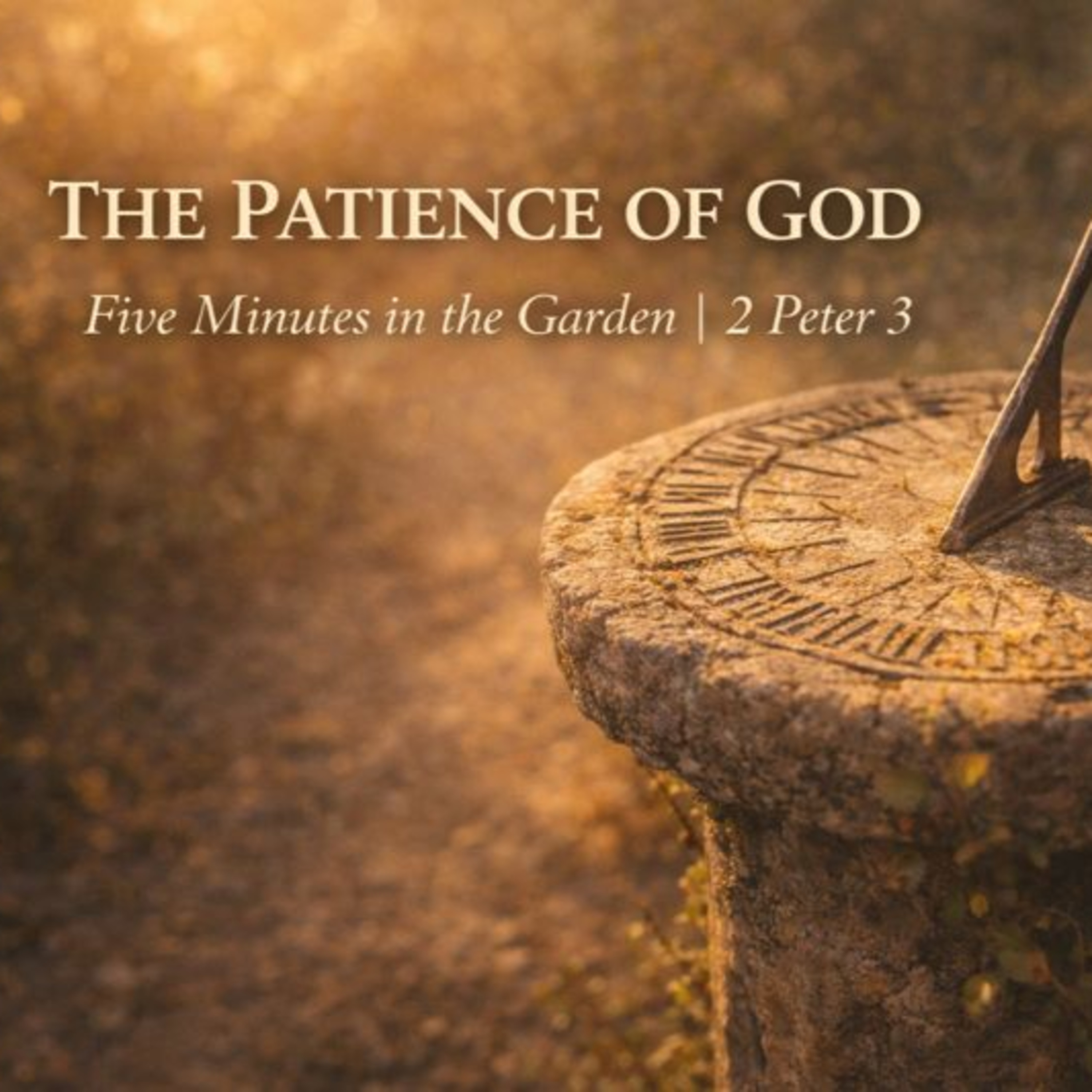 Episode 19 - The Patience of God episode artwork