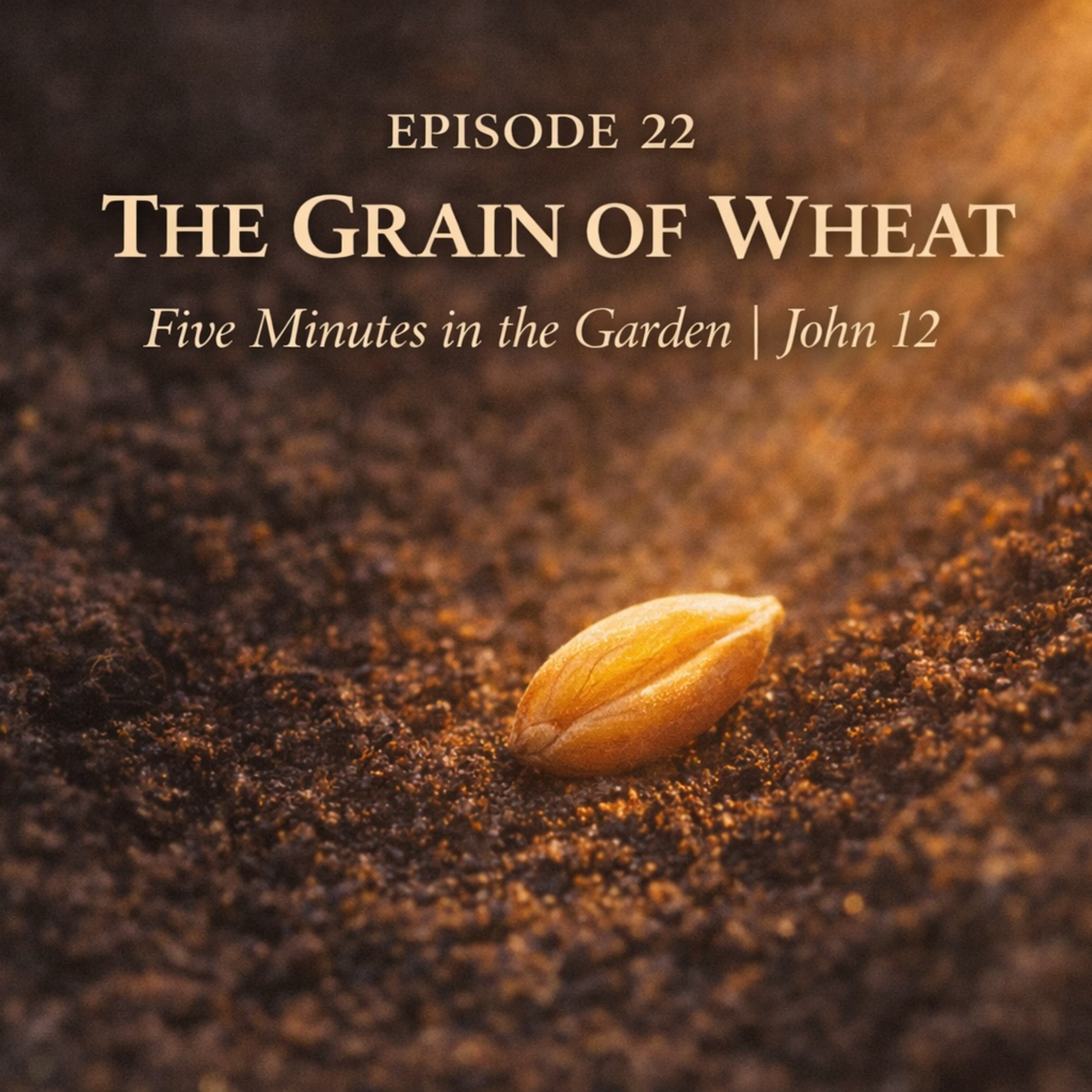 Episode 22- The Grain of Wheat episode artwork