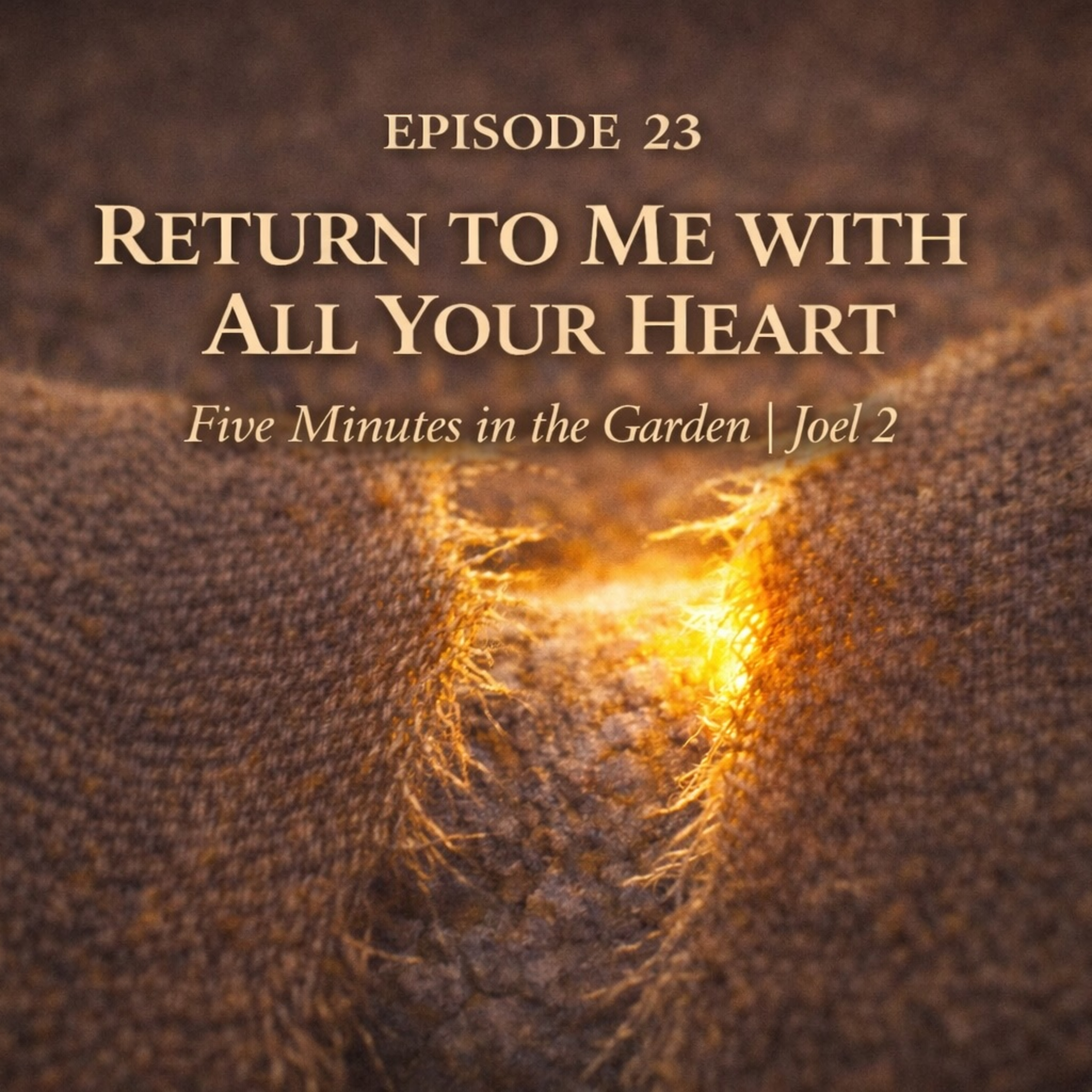 Episode 23 - Return to Me with All Your Heart episode artwork