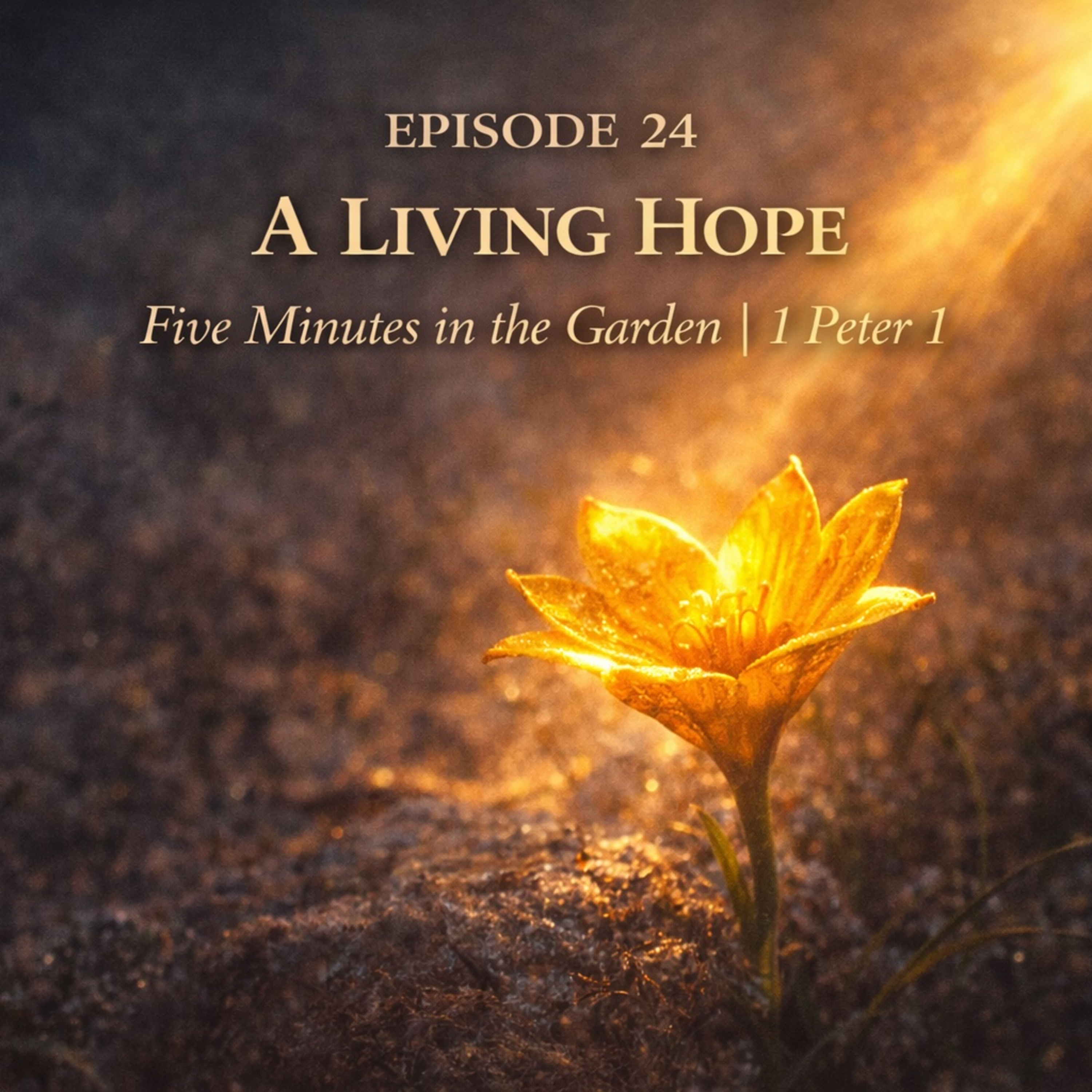 Episode 24 - A Living Hope episode artwork
