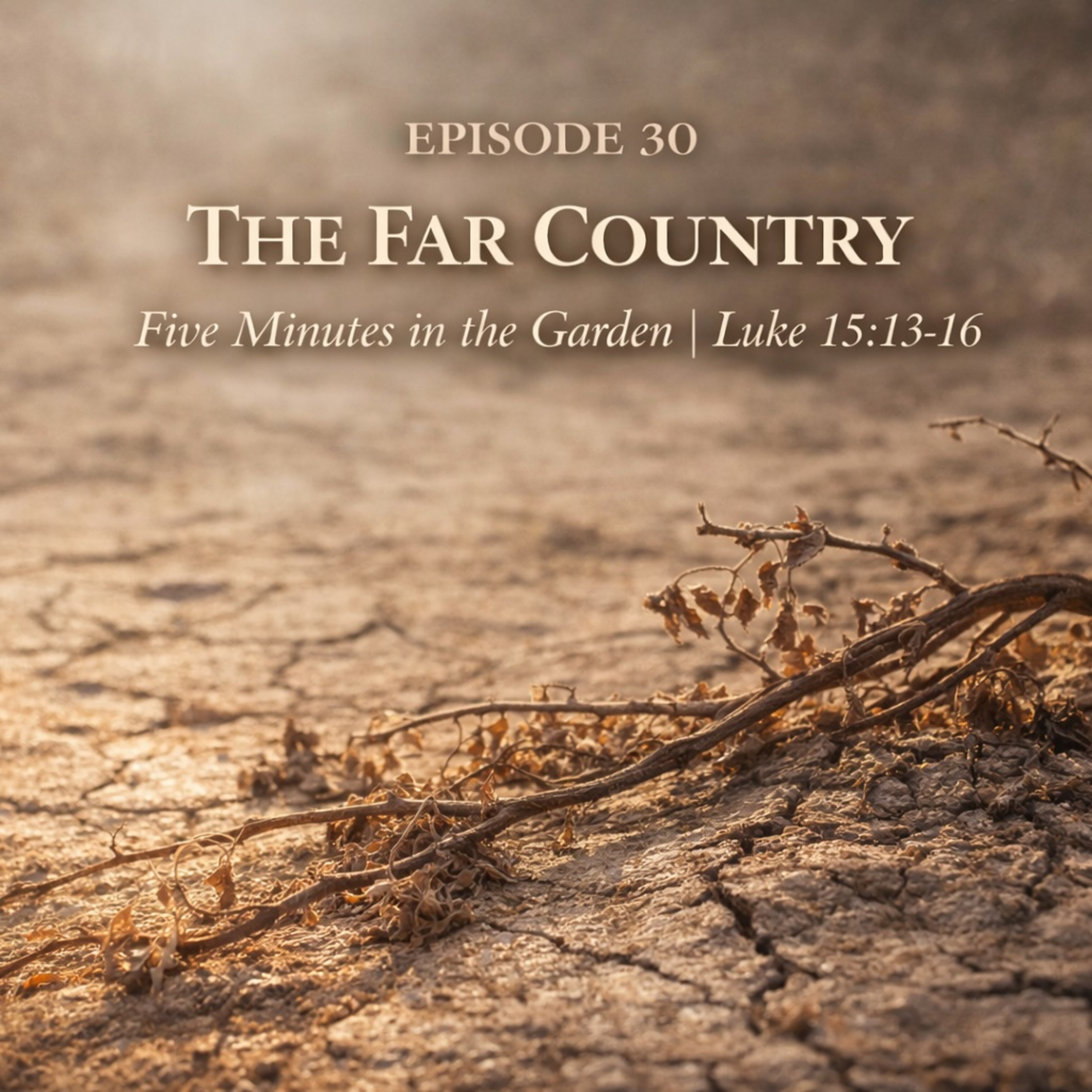 Episode 30 - The Far Country episode artwork