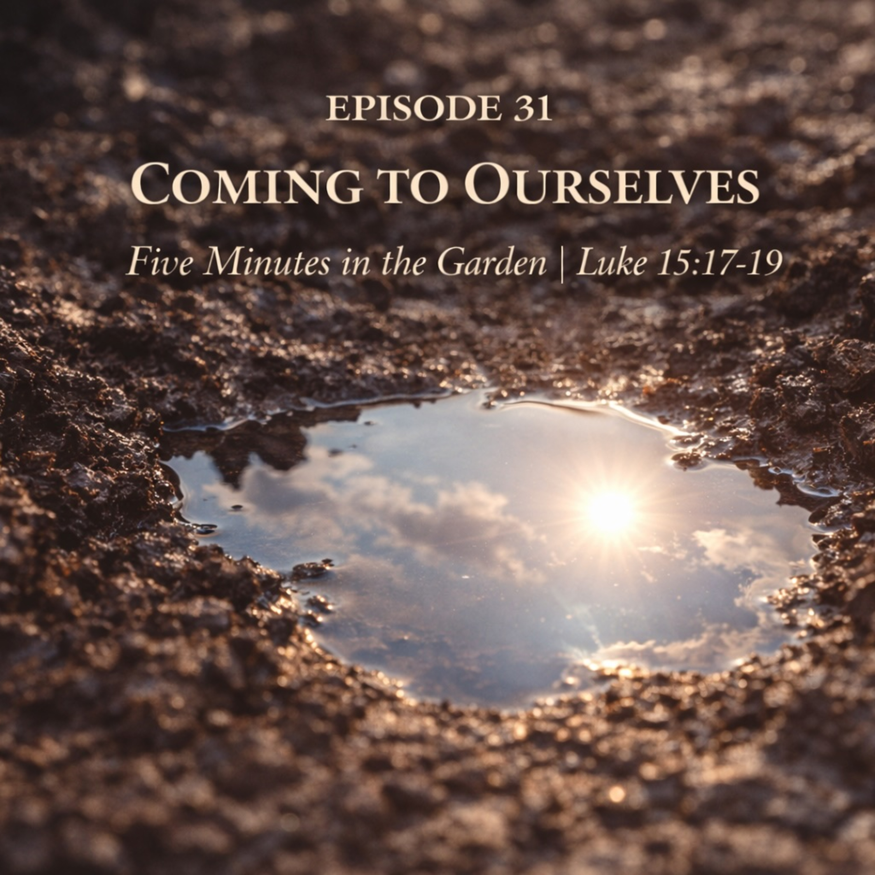 Episode 31 - Coming to Ourselves episode artwork