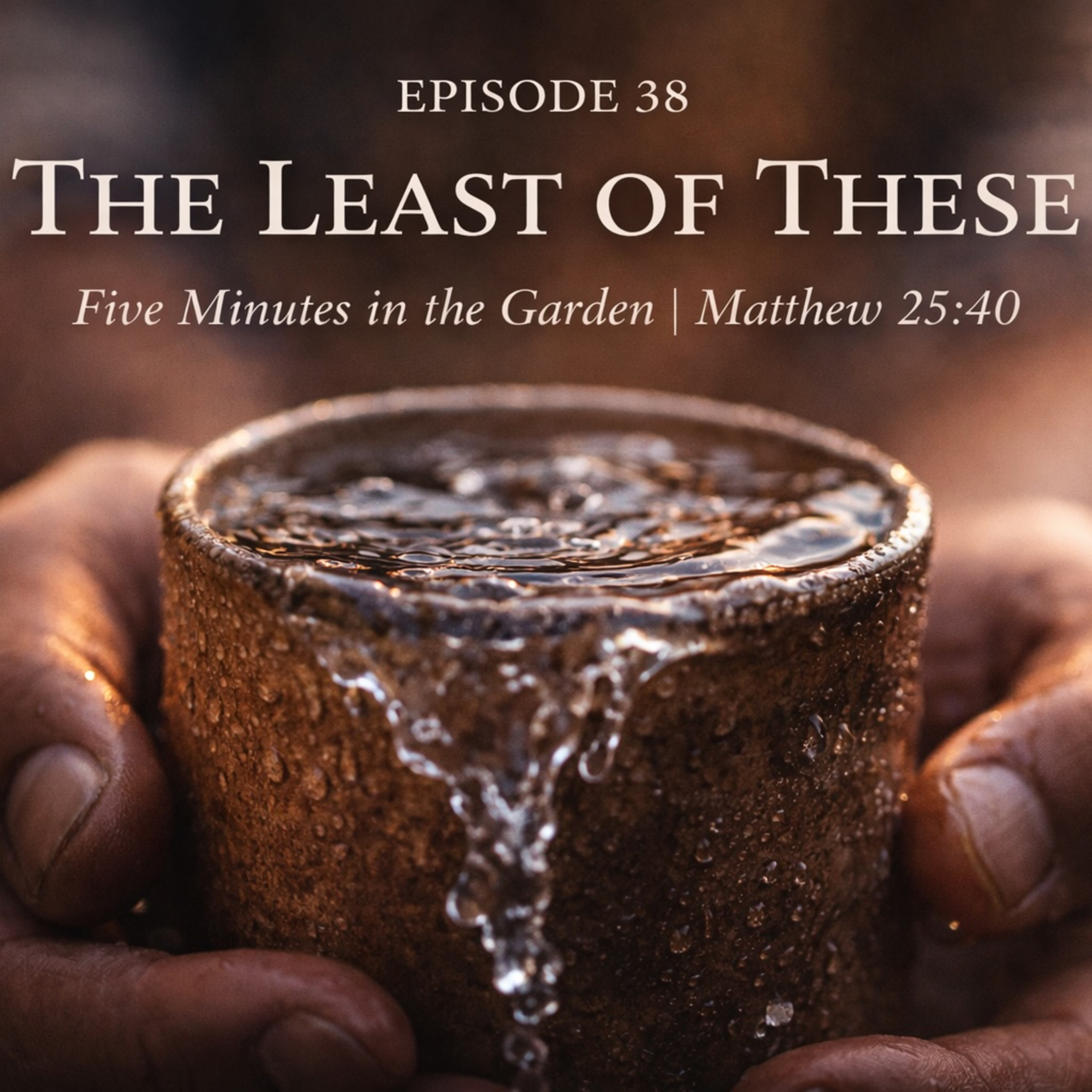 Episode 38 - The Least of These episode artwork