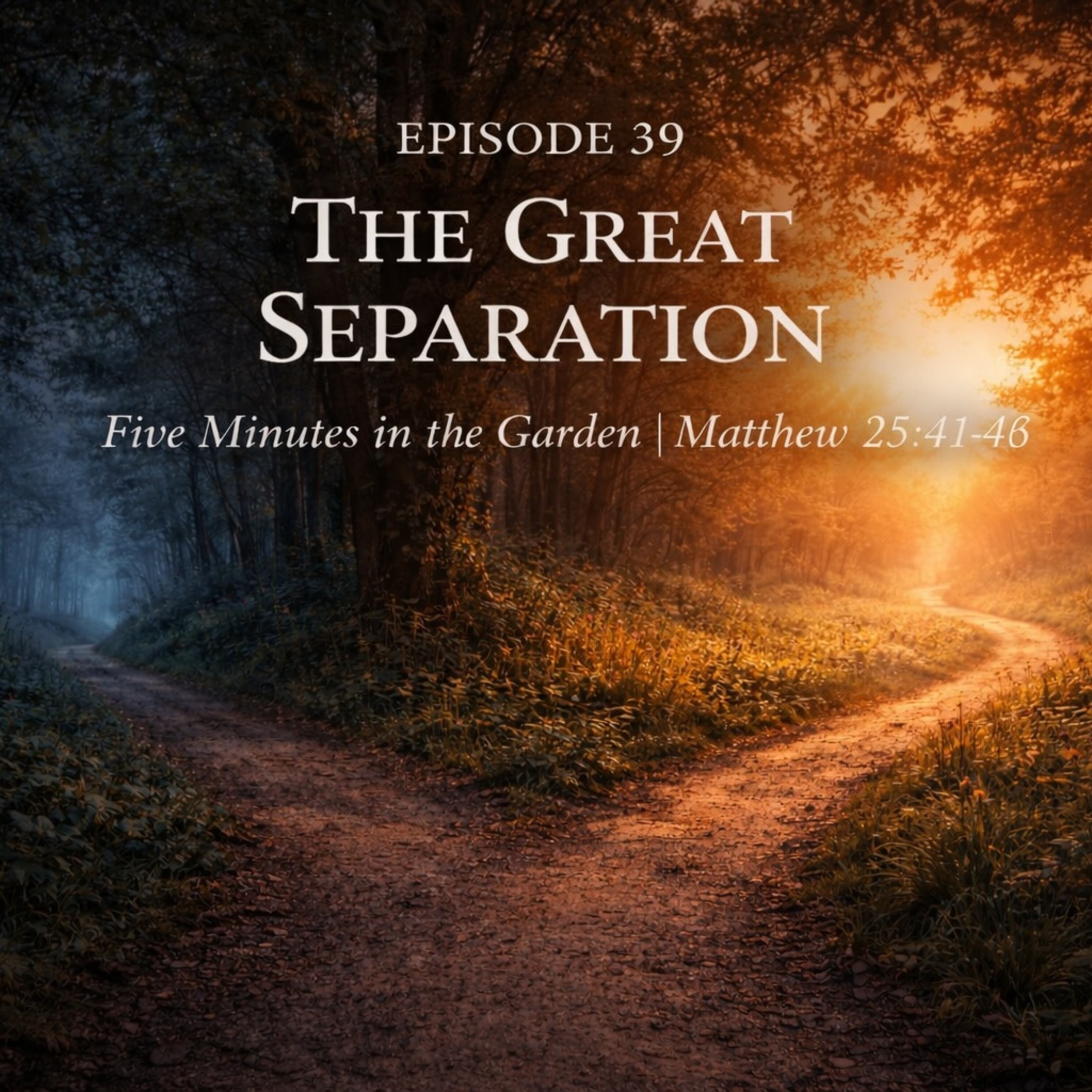 Episode 39 - The Great Separation episode artwork