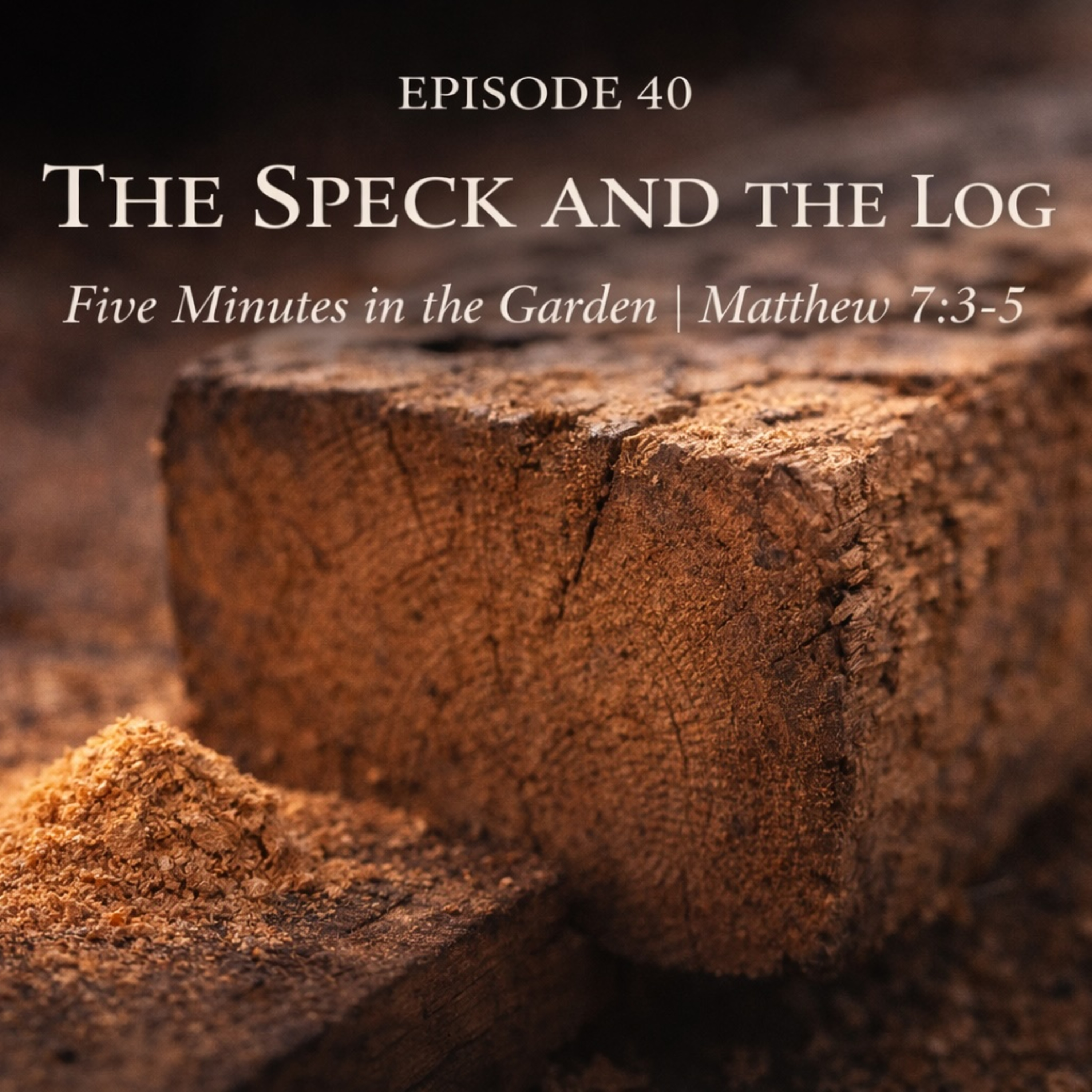 Episode 40 - The Speck and the Log episode artwork