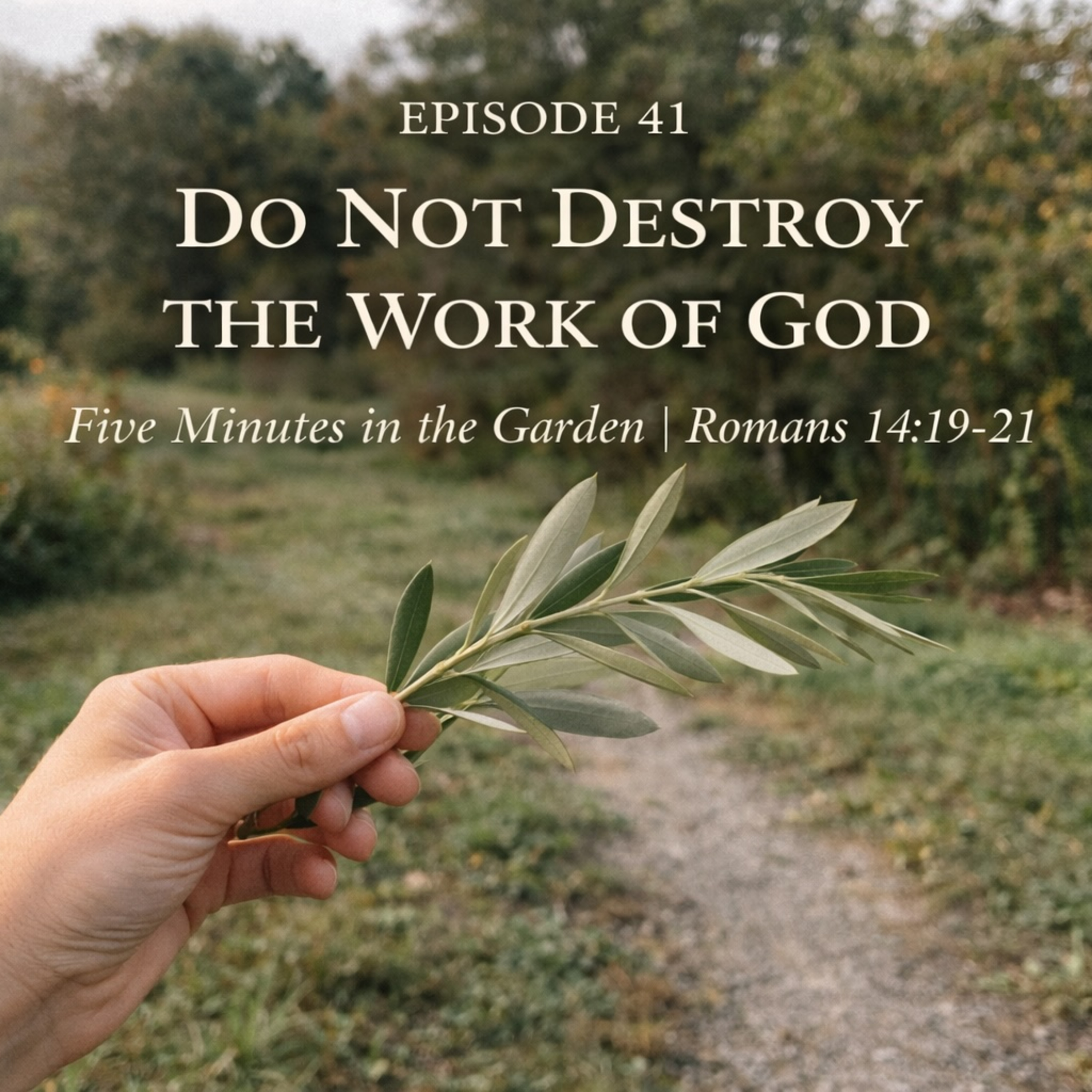 Episode 41 - Do Not Destroy the Work of God episode artwork