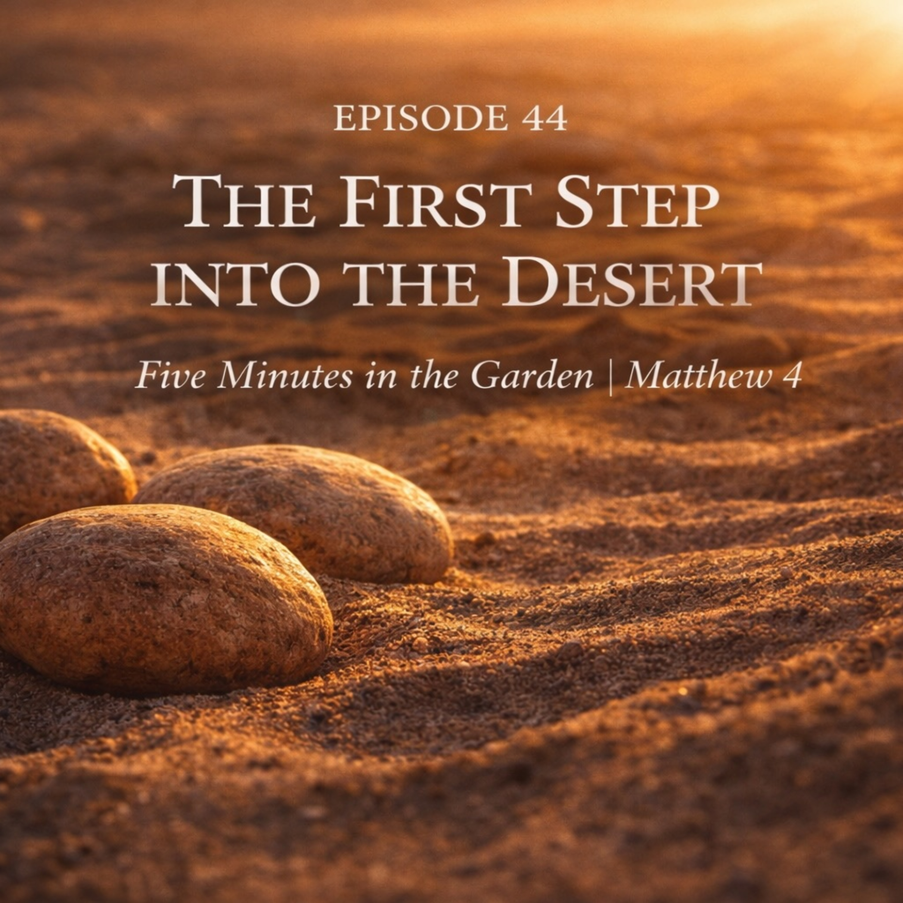 Episode 44 - The First Step into the Desert episode artwork