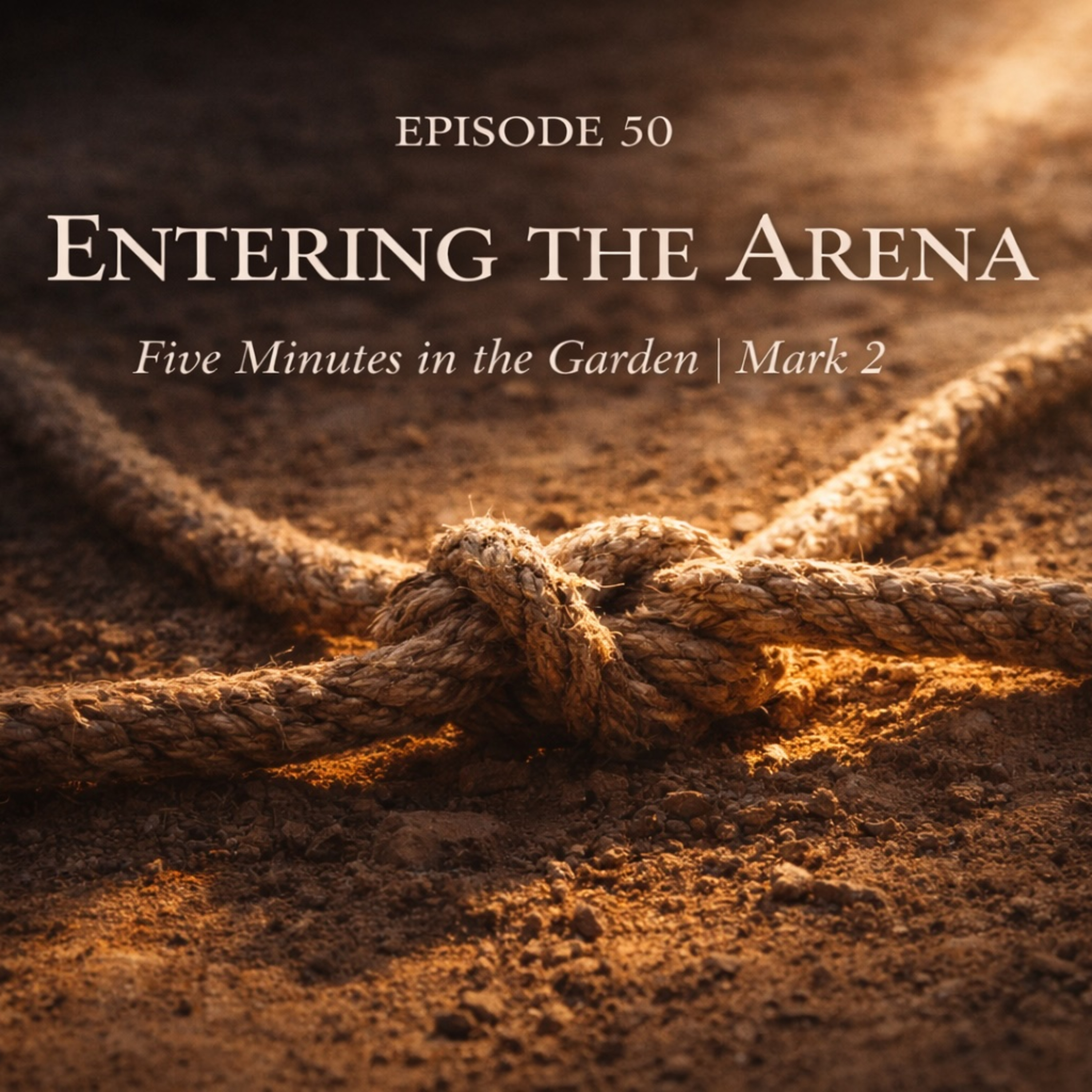 Episode 50 - Entering the Arena episode artwork