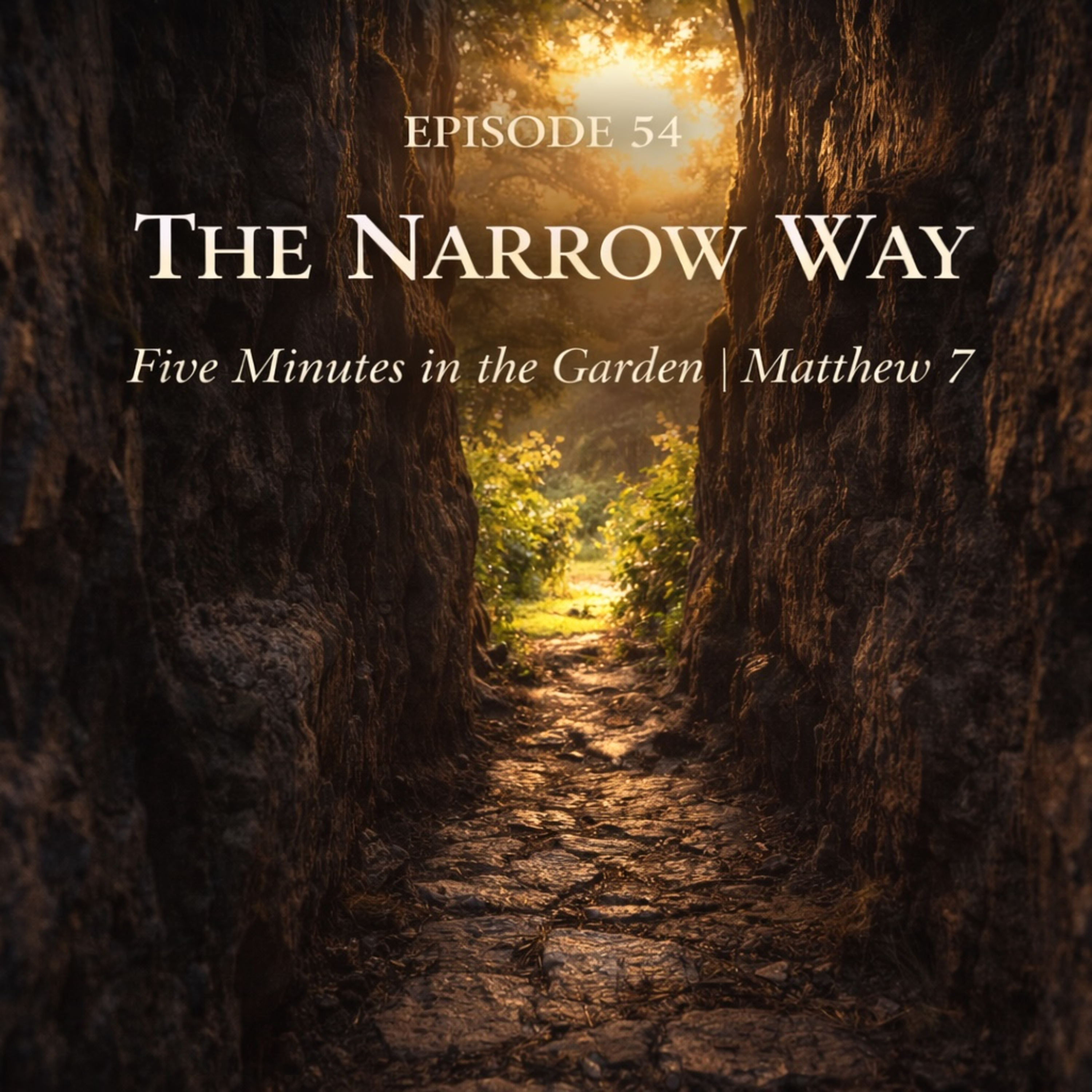 Episode 54 - The Narrow Way episode artwork