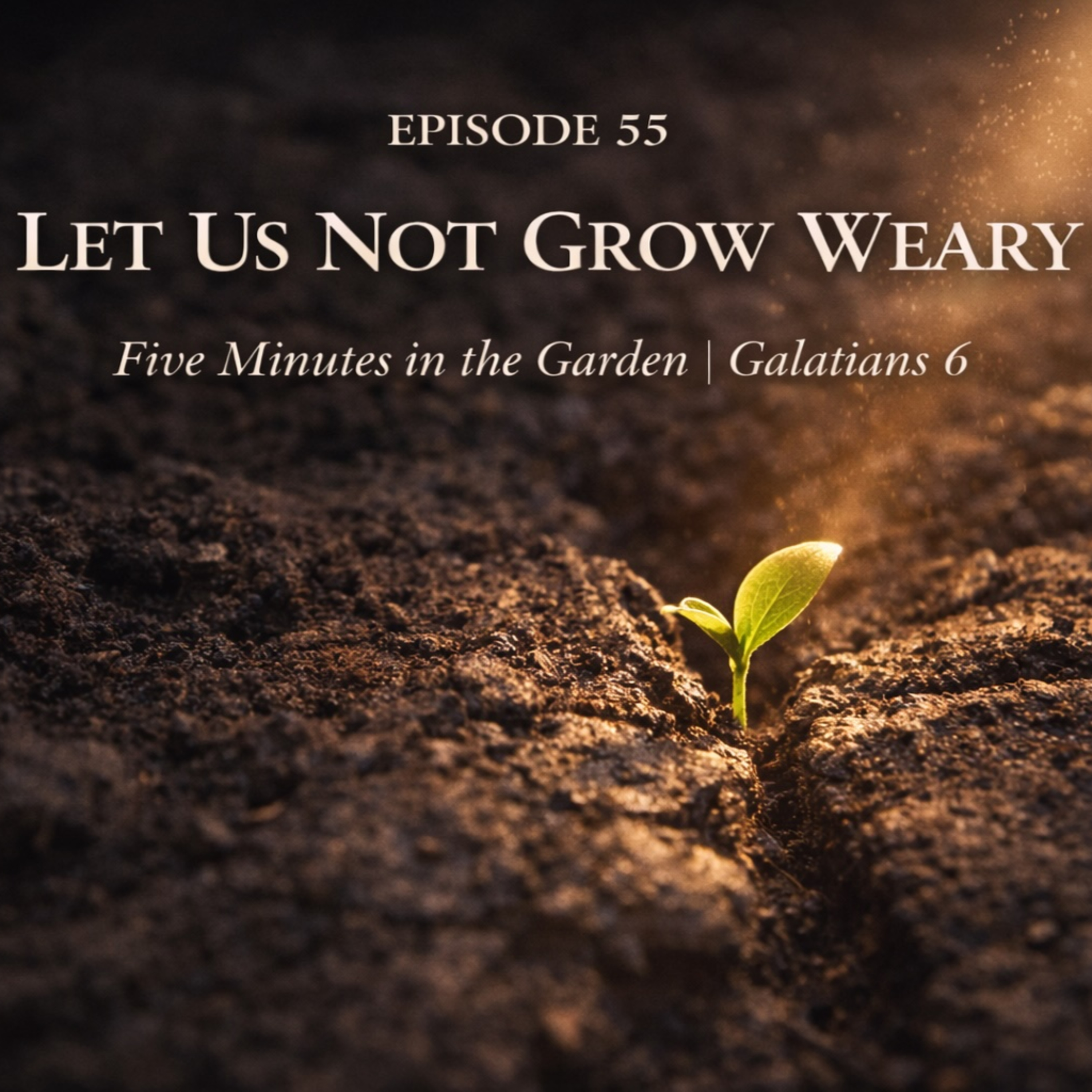 Episode 55 - Let Us Not Grow Weary episode artwork
