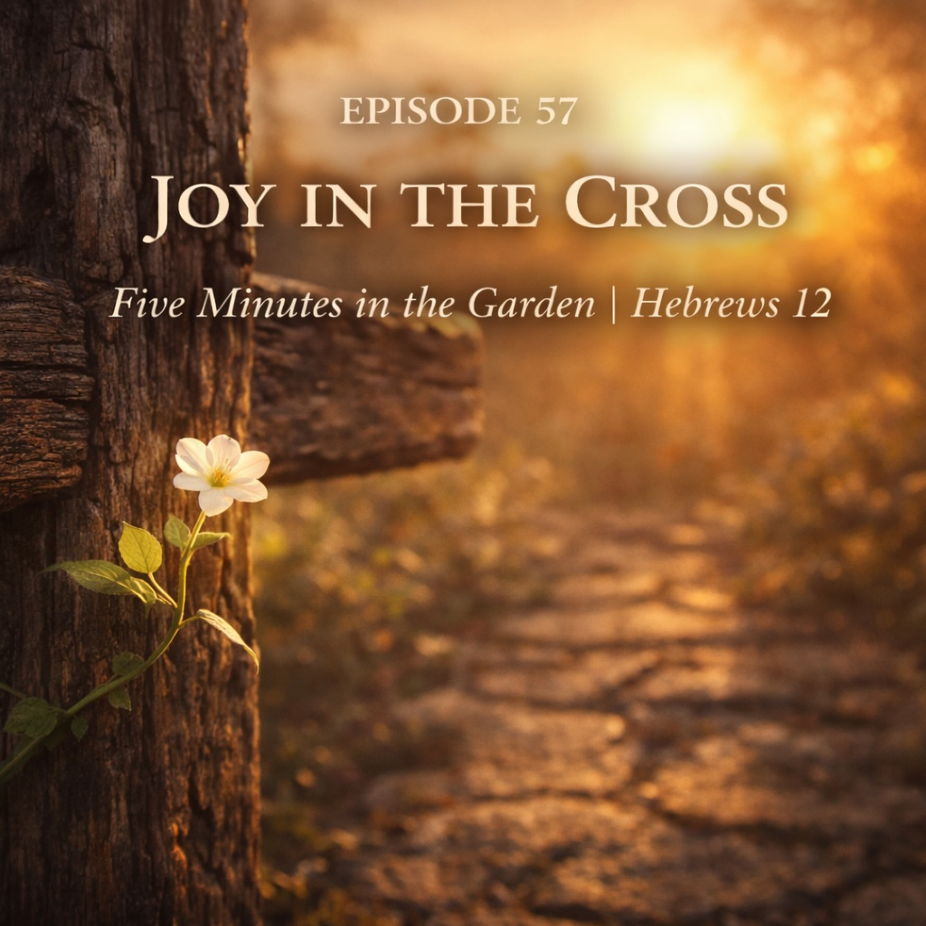 Episode 57 - Joy in the Cross episode artwork