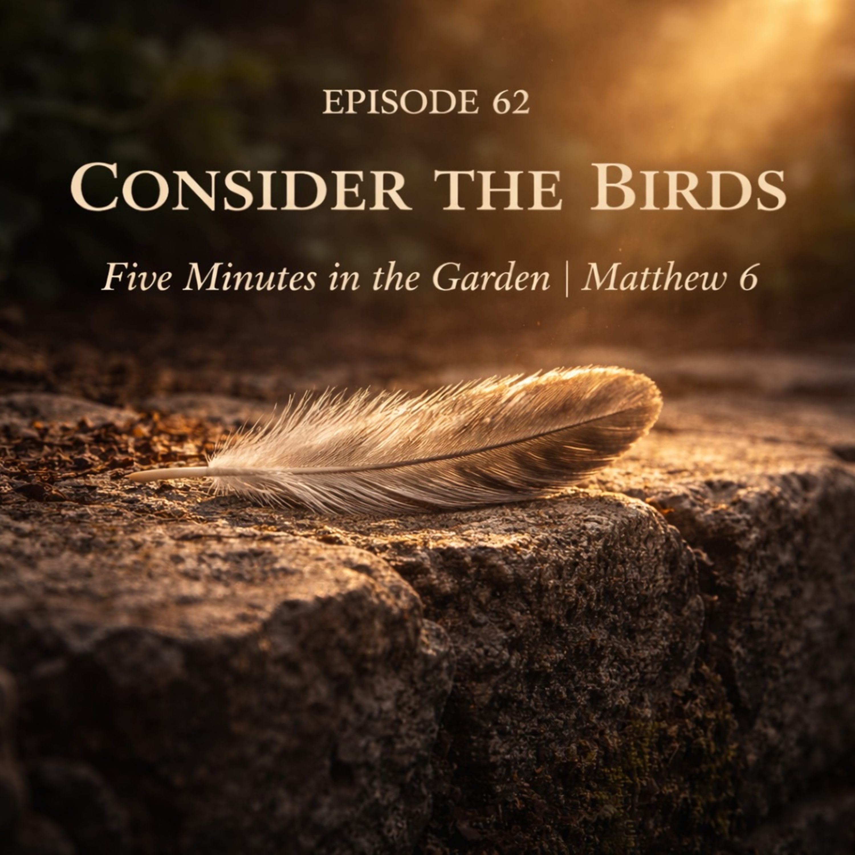 Episode 62 - Consider the Birds episode artwork