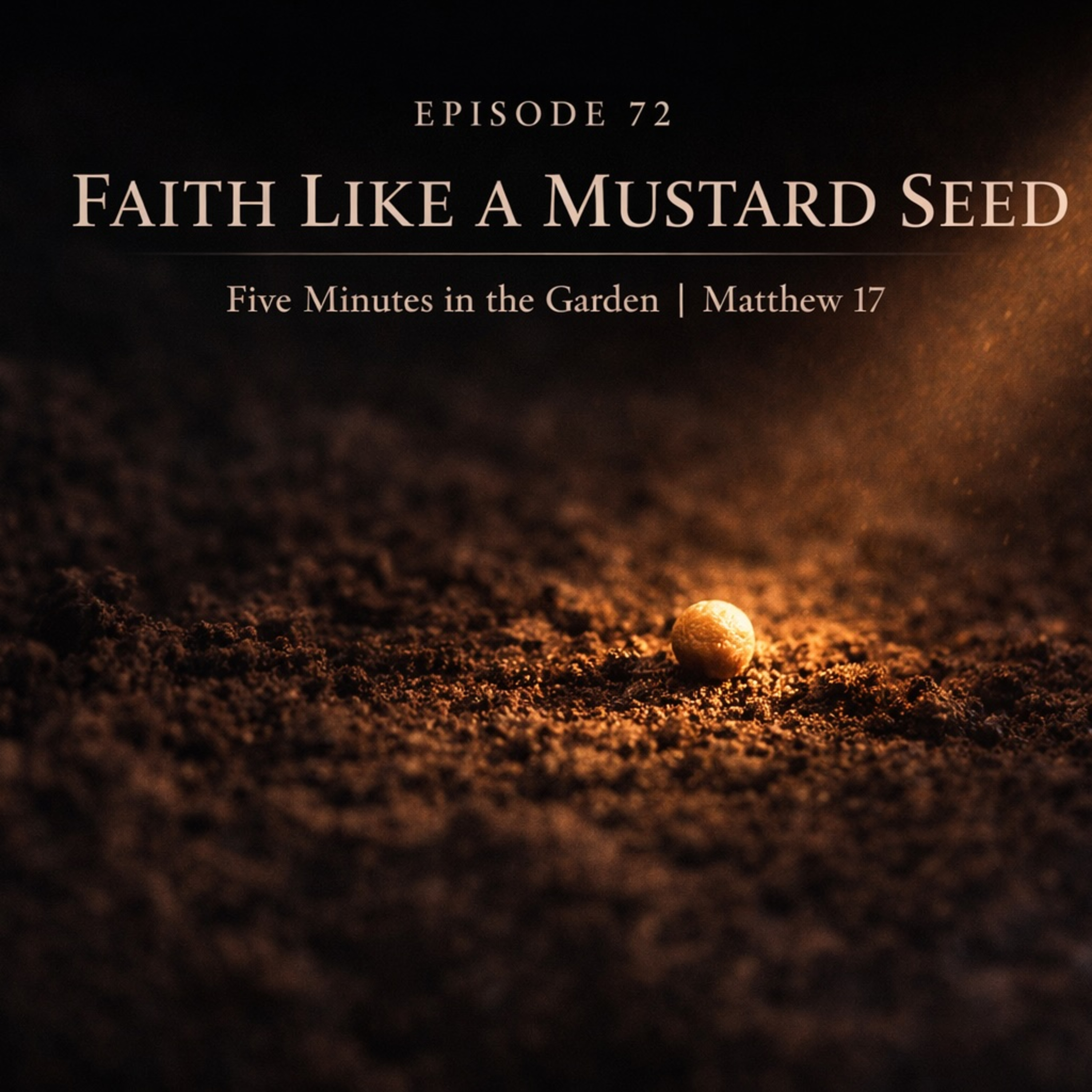 Episode 72 - Faith Like a Mustard Seed episode artwork