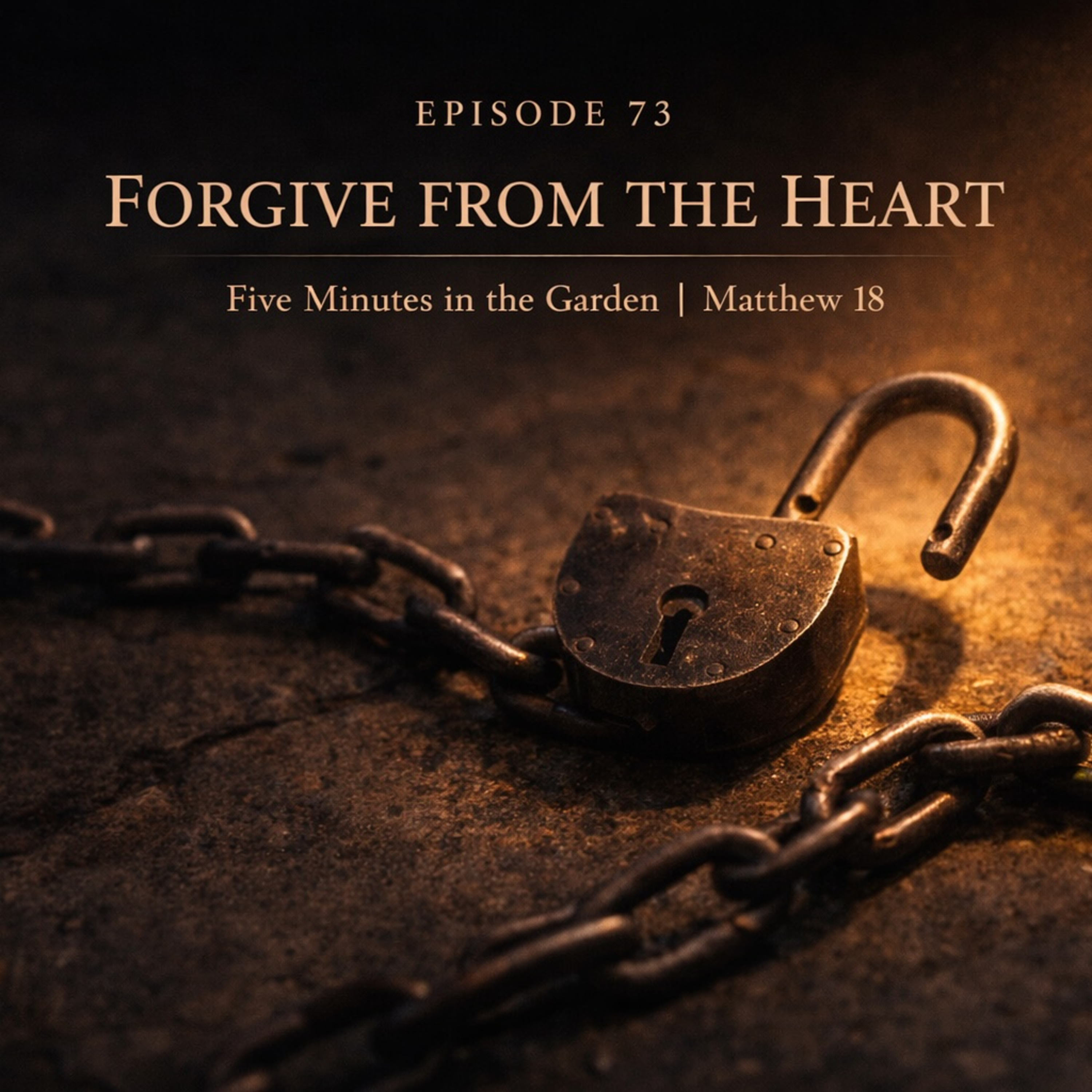 Episode 73 - Forgive from the Heart episode artwork