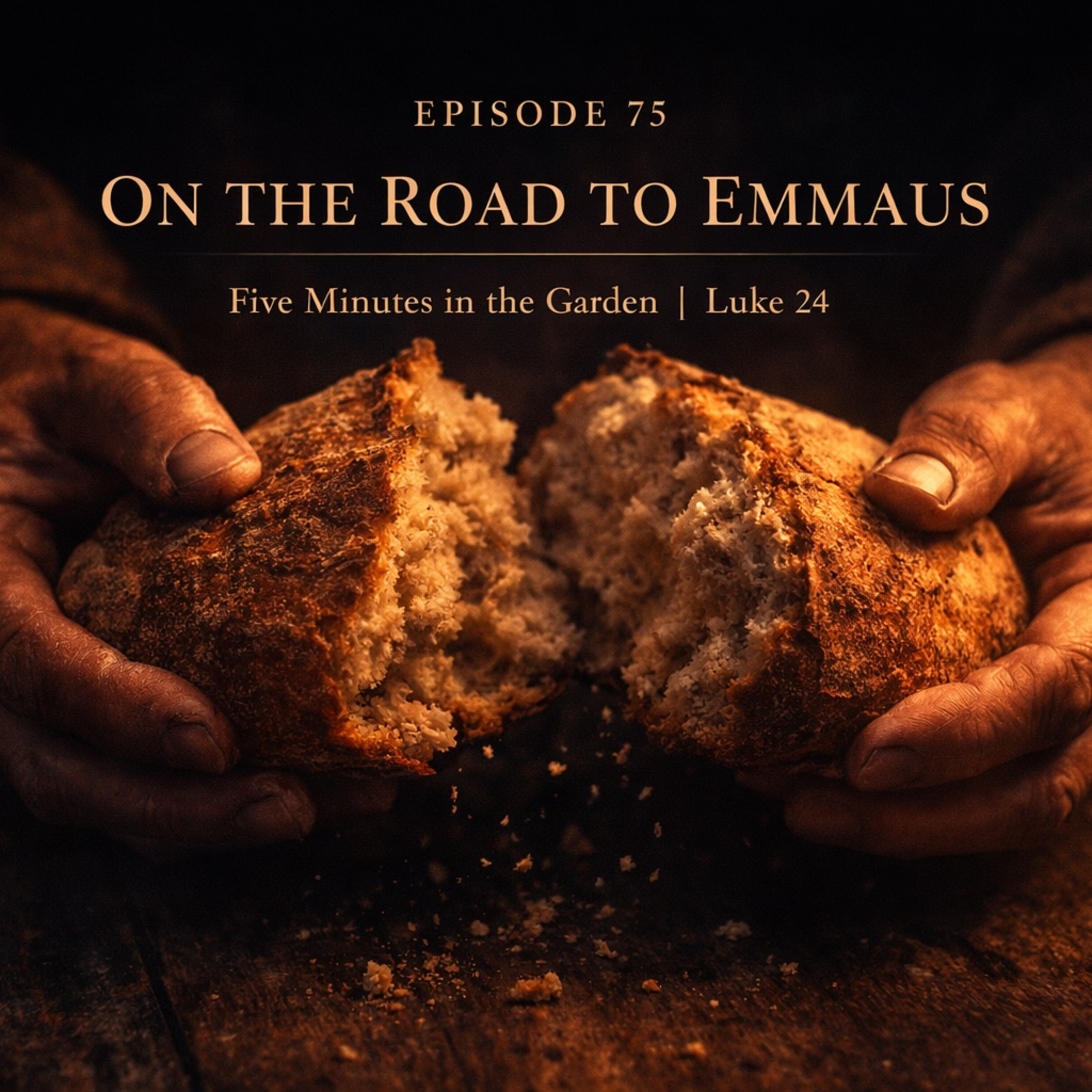 Chapter 75 - On the Road to Emmaus episode artwork