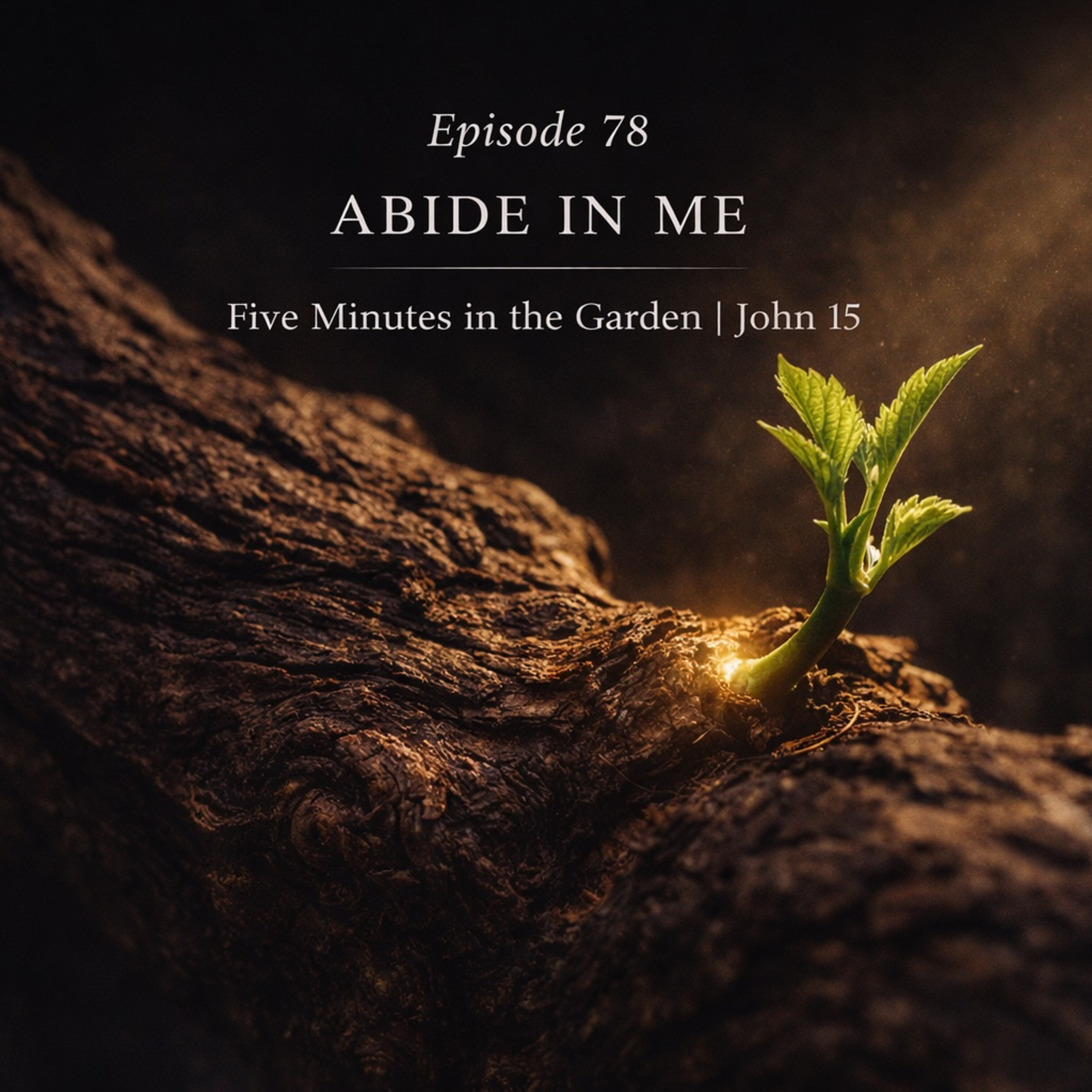 Episode 78 - Abide in Me episode artwork