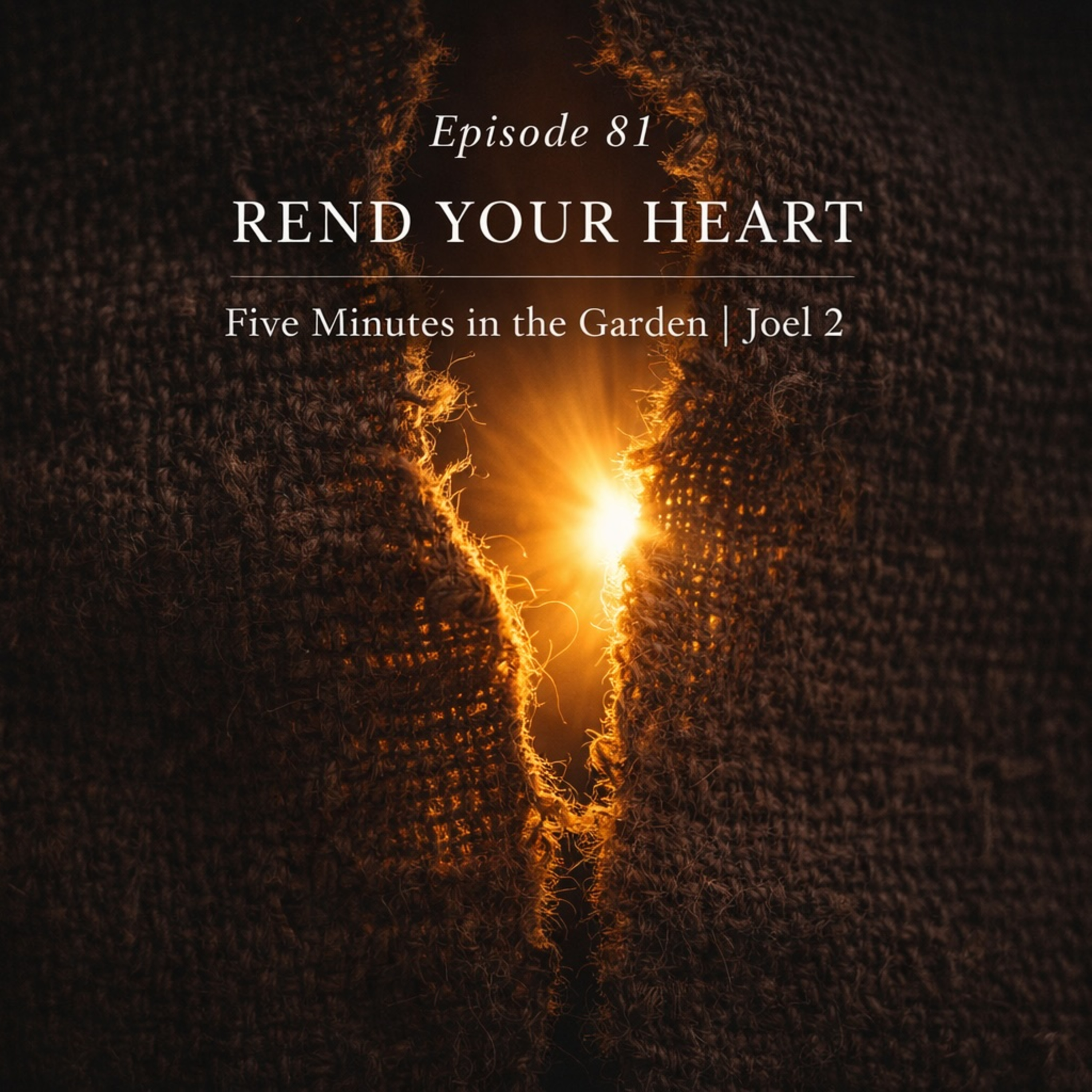Episode 81 - Rend Your Heart episode artwork