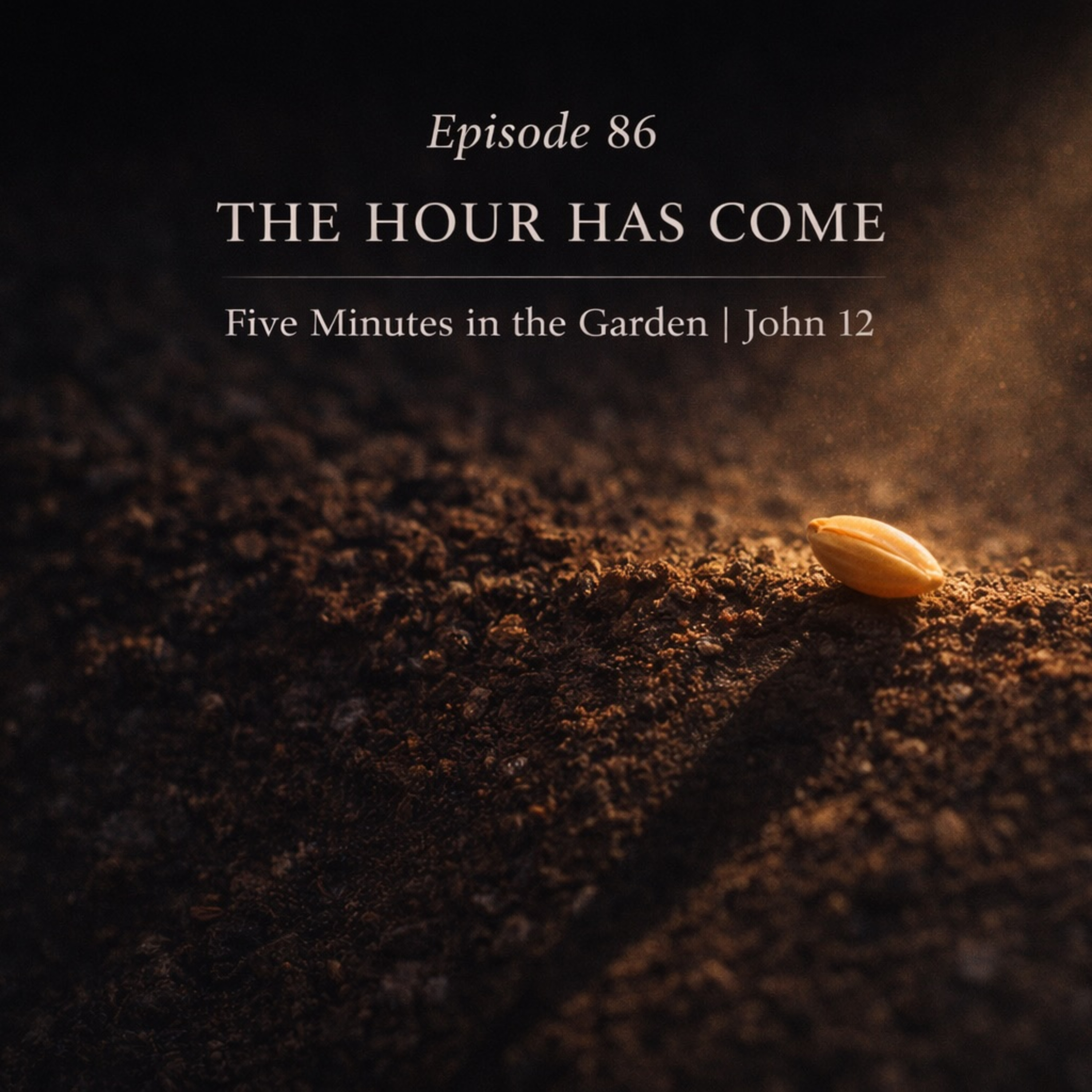 Episode 86 - The Hour Has Come episode artwork