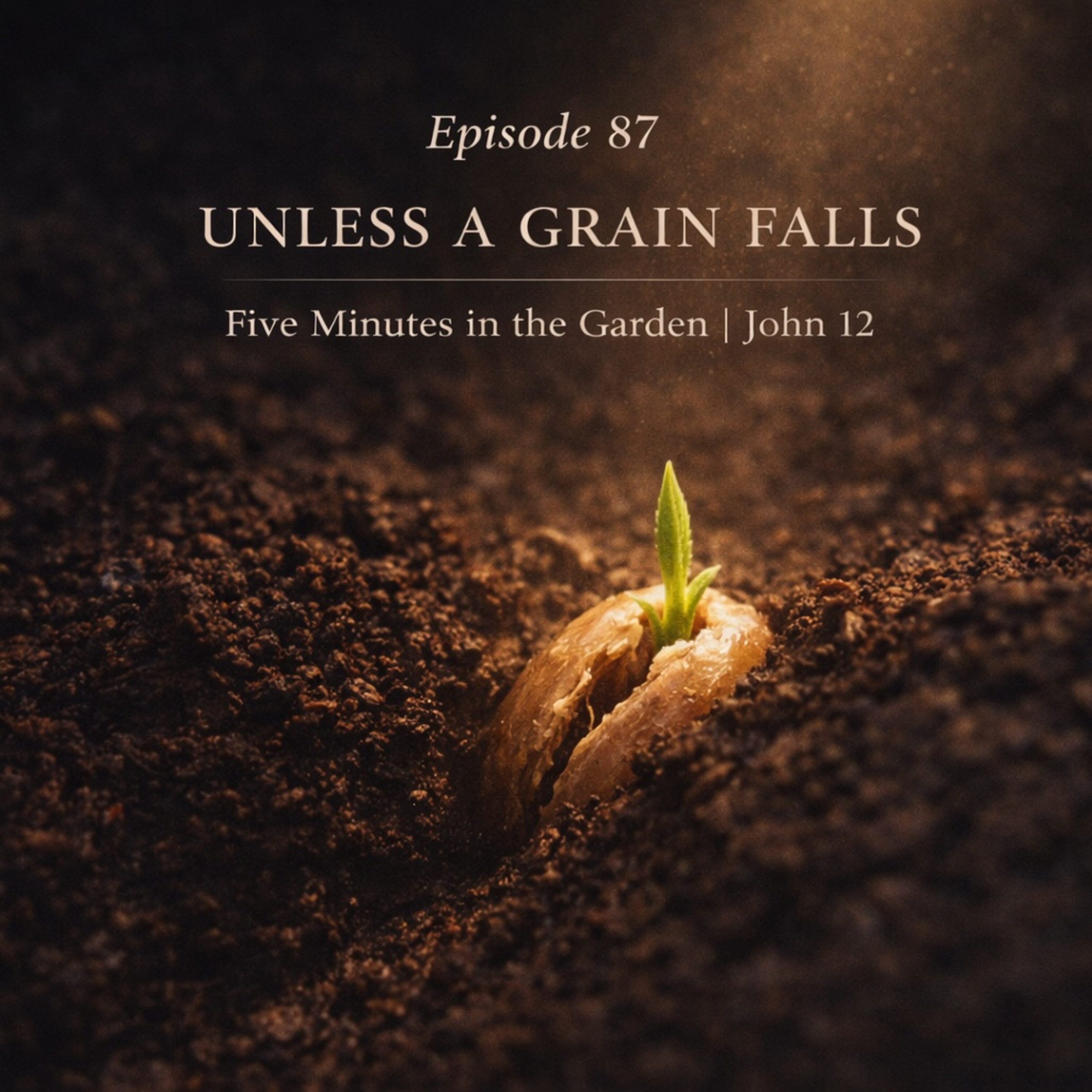 Episode 87 - Unless a Grain Falls episode artwork