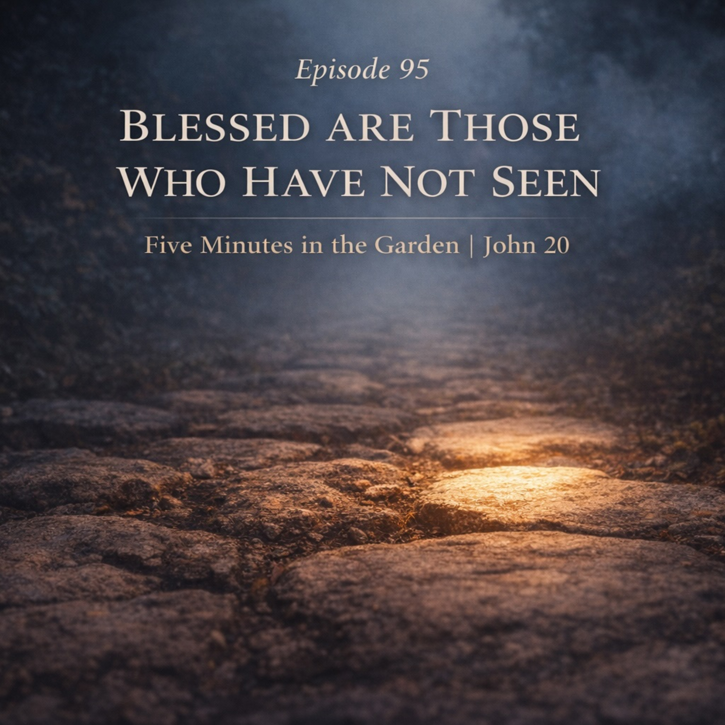 Episode 95 - Blessed Are Those Who Have Not Seen episode artwork