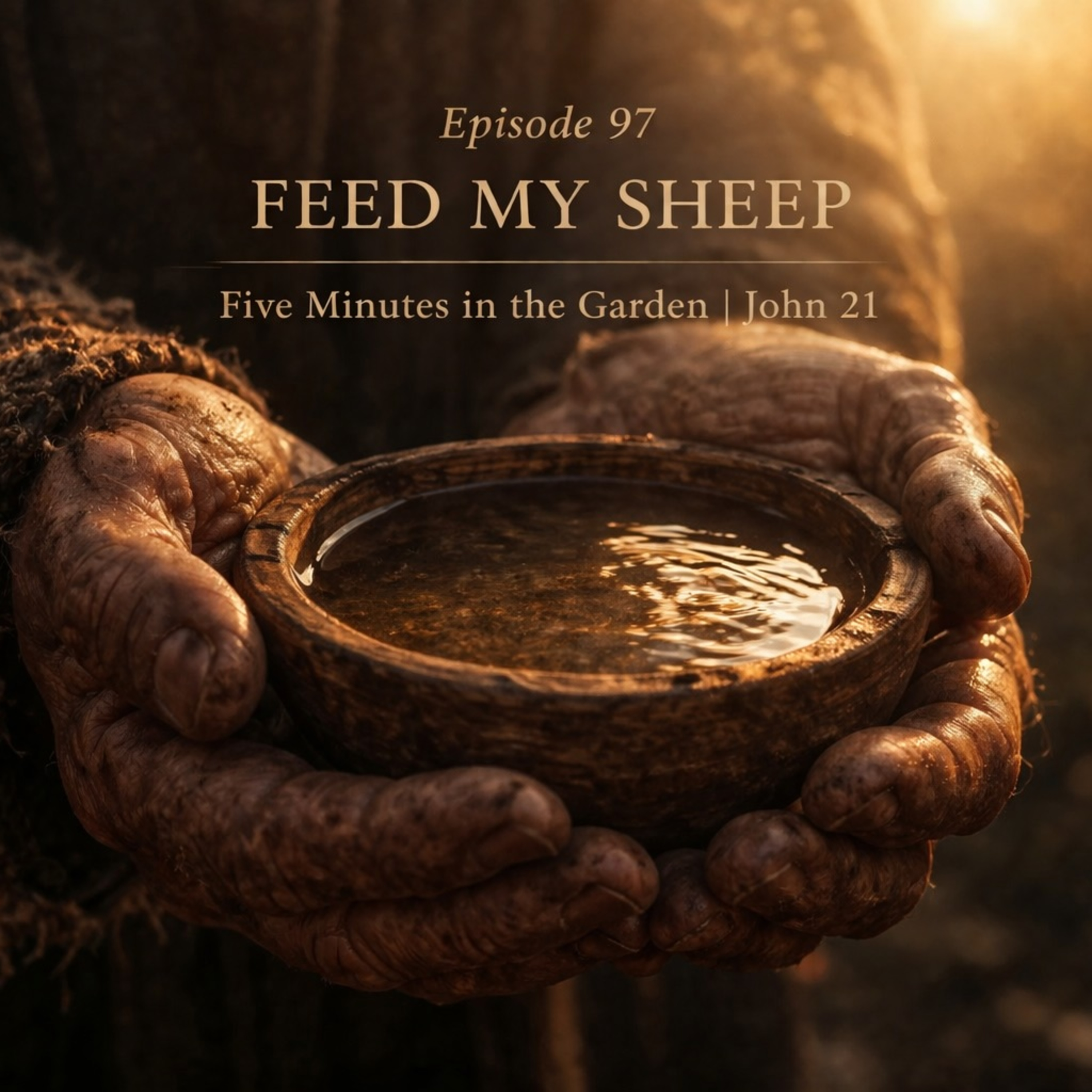 Episode 97 - Feed My Sheep episode artwork