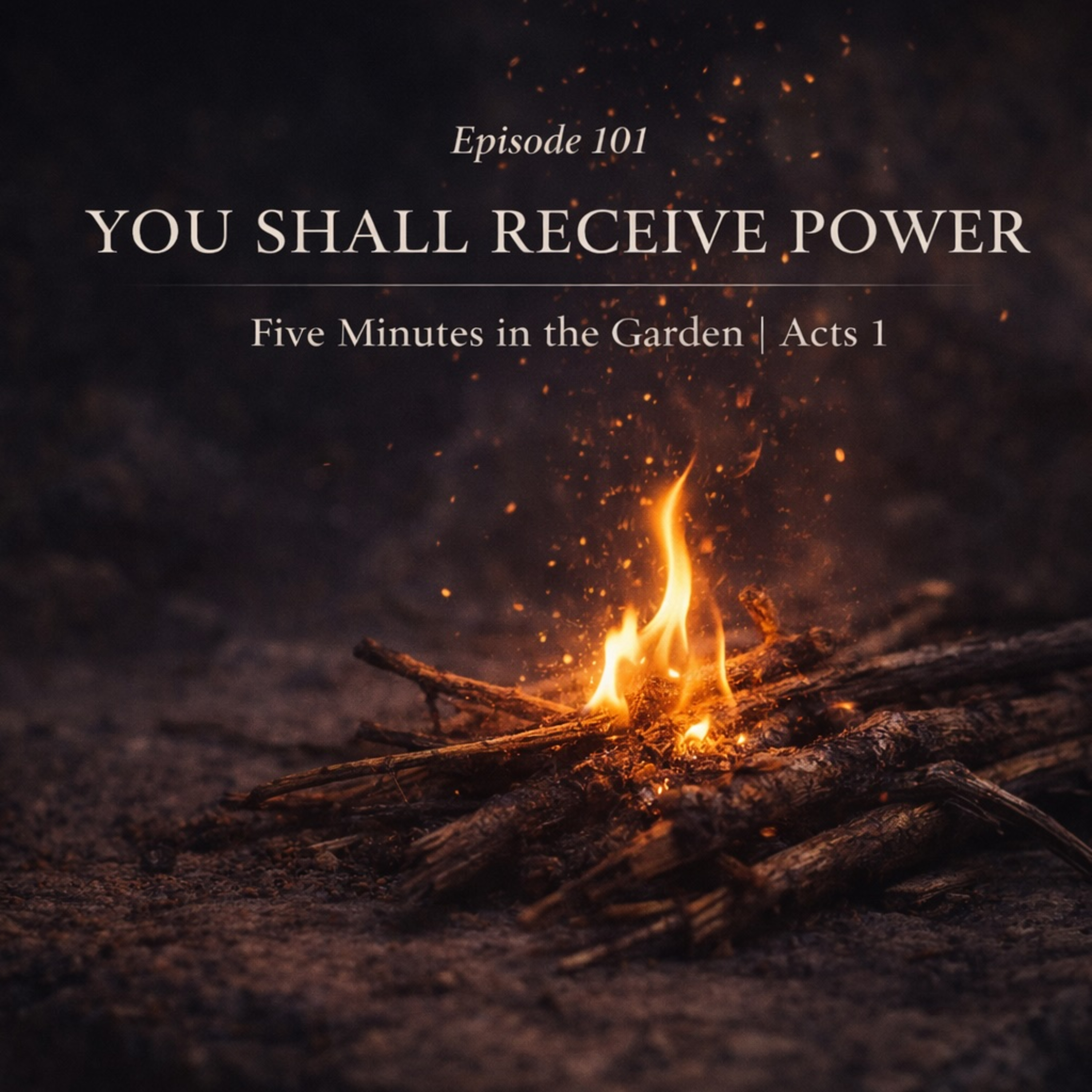 Episode 101 - You Shall Receive Power episode artwork