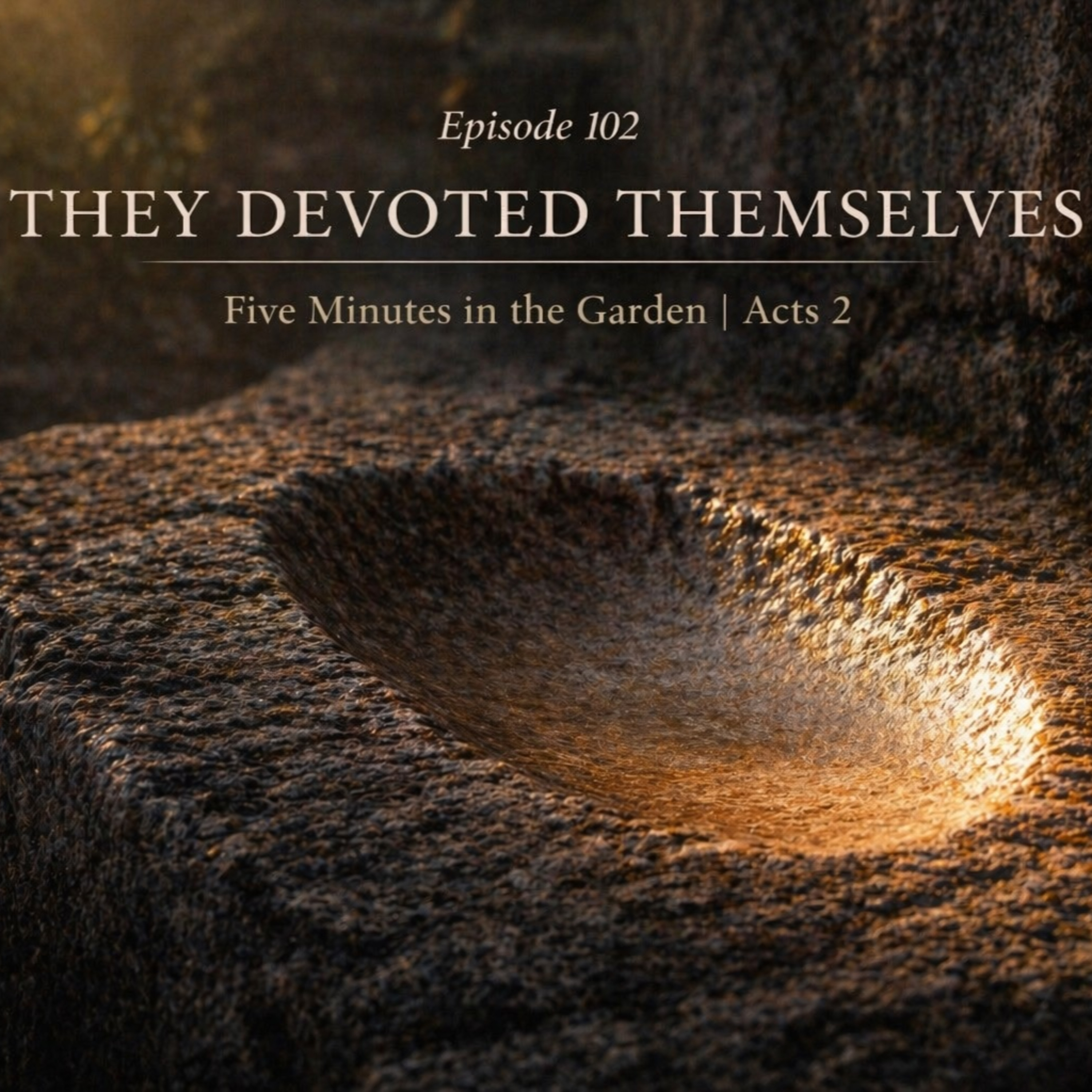 Episode 102 - They Devoted Themselves episode artwork