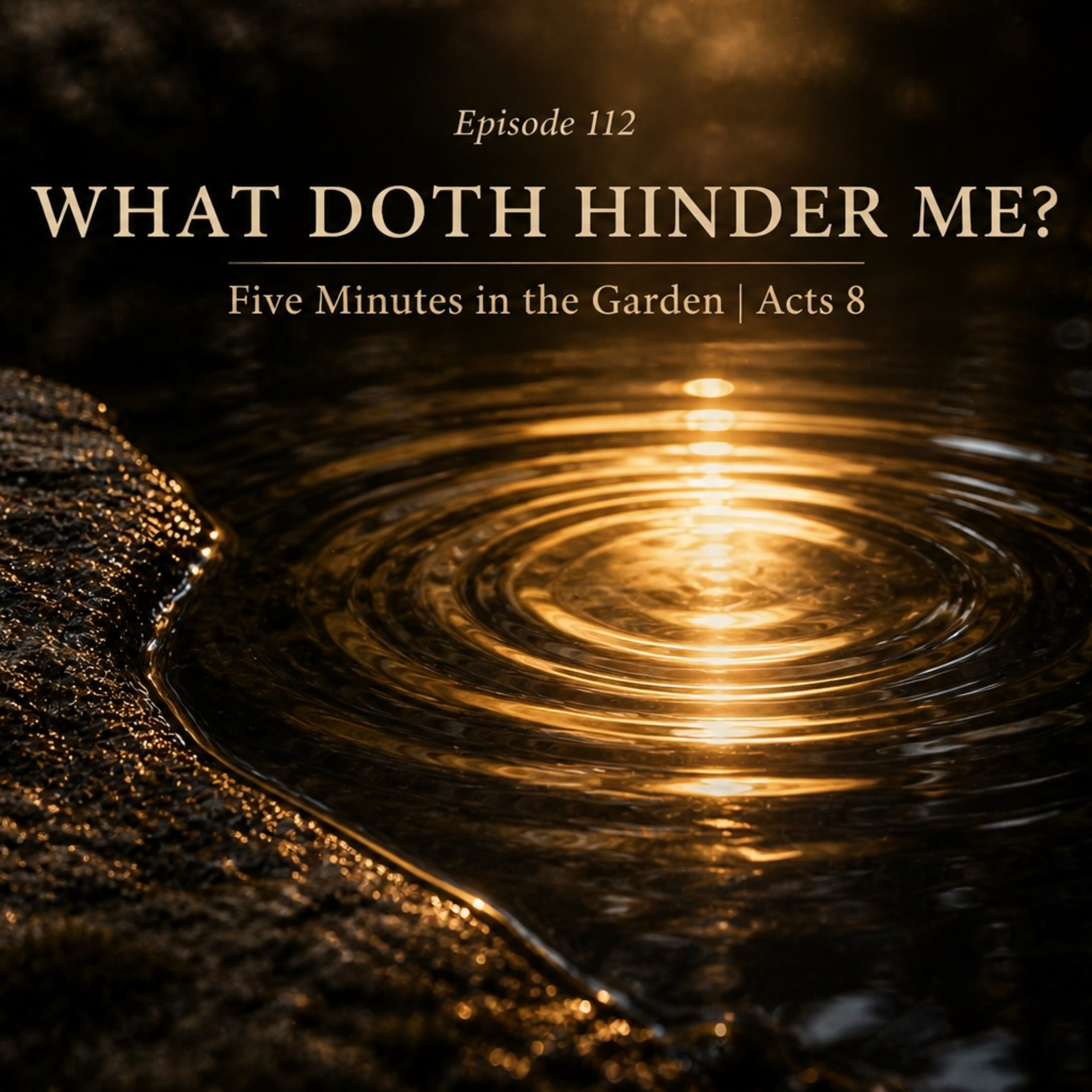 Episode 112 - What Doth Hinder Me? episode artwork