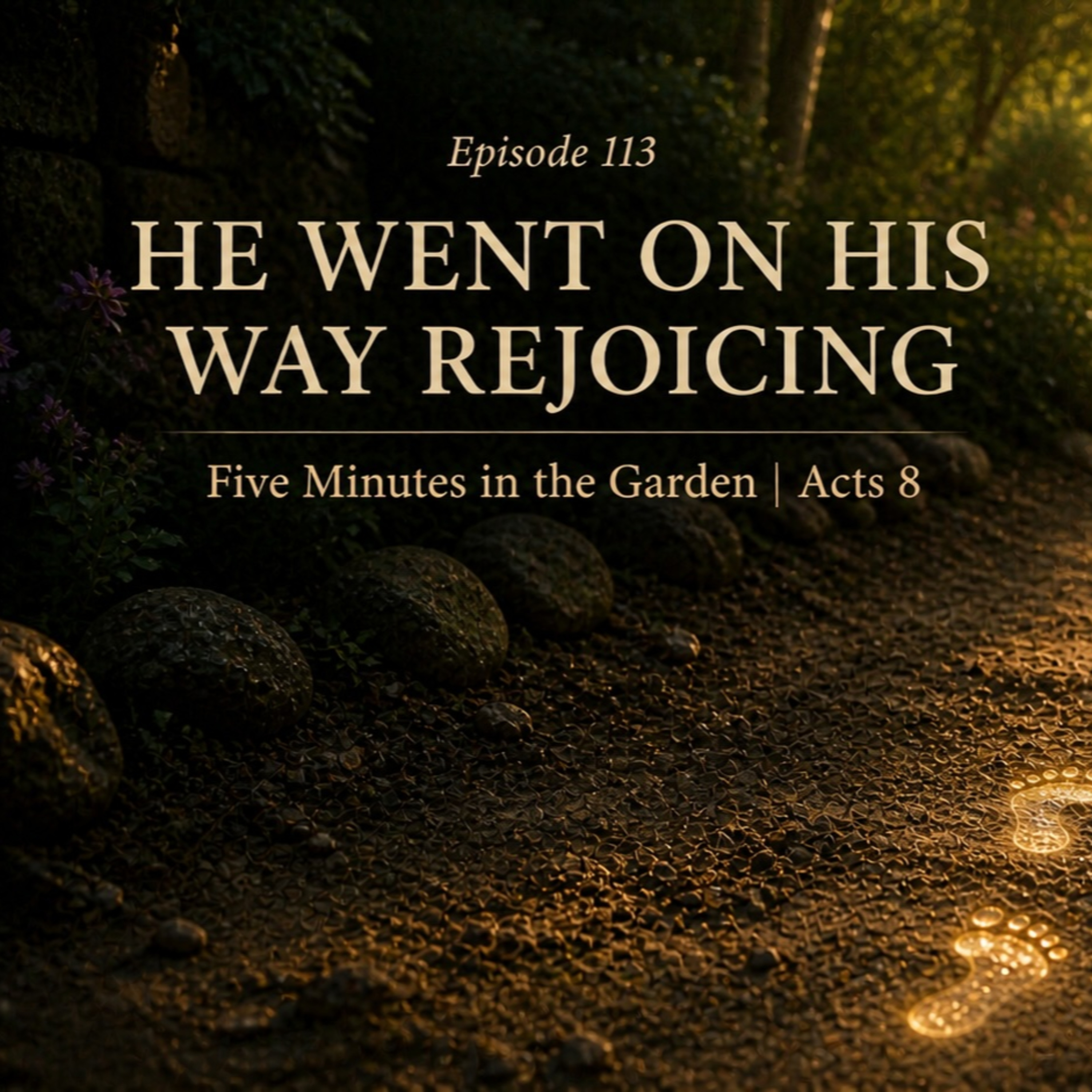 Episode 113 - He Went On His Way Rejoicing episode artwork