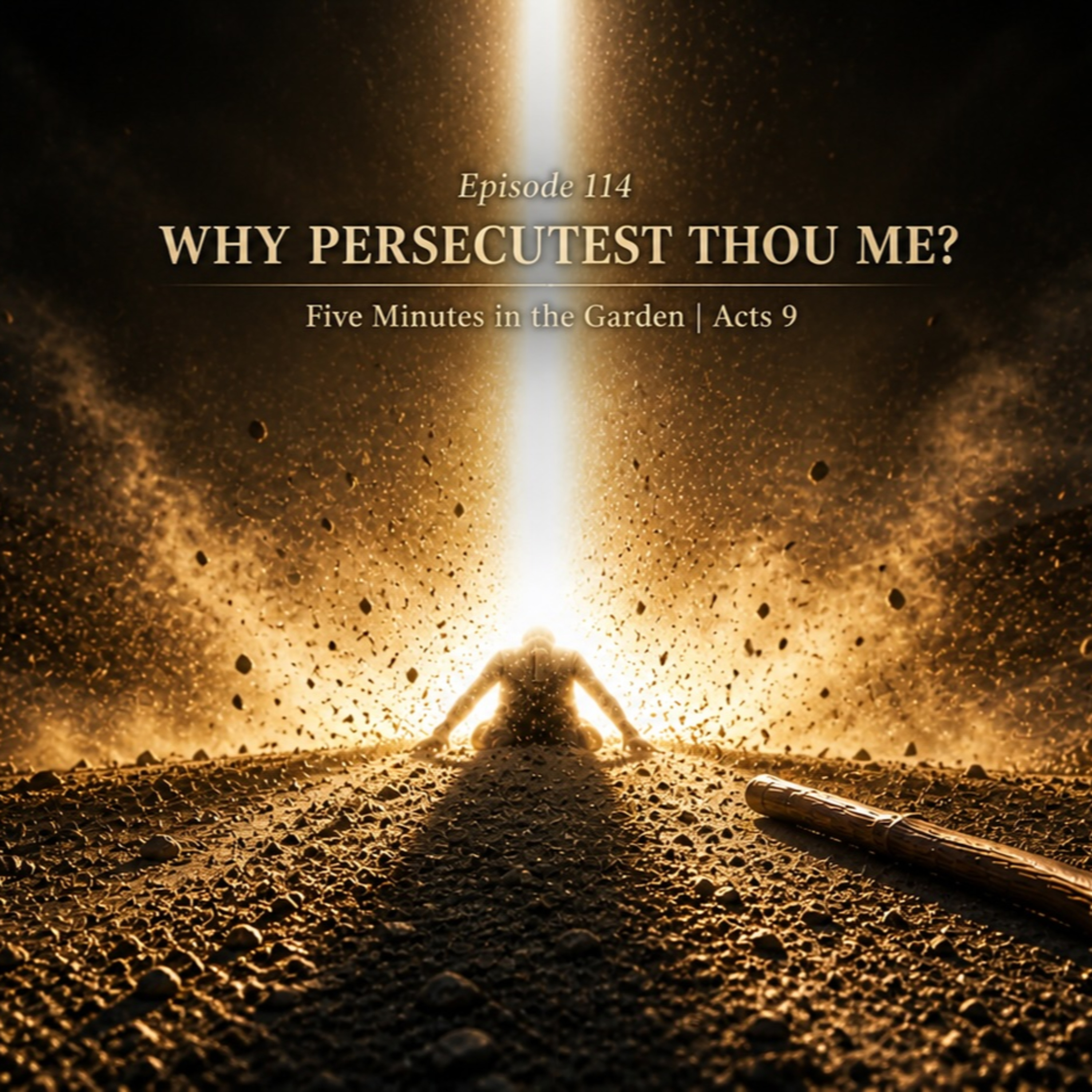 Episode 114 - Why Persecutest Thou Me? episode artwork