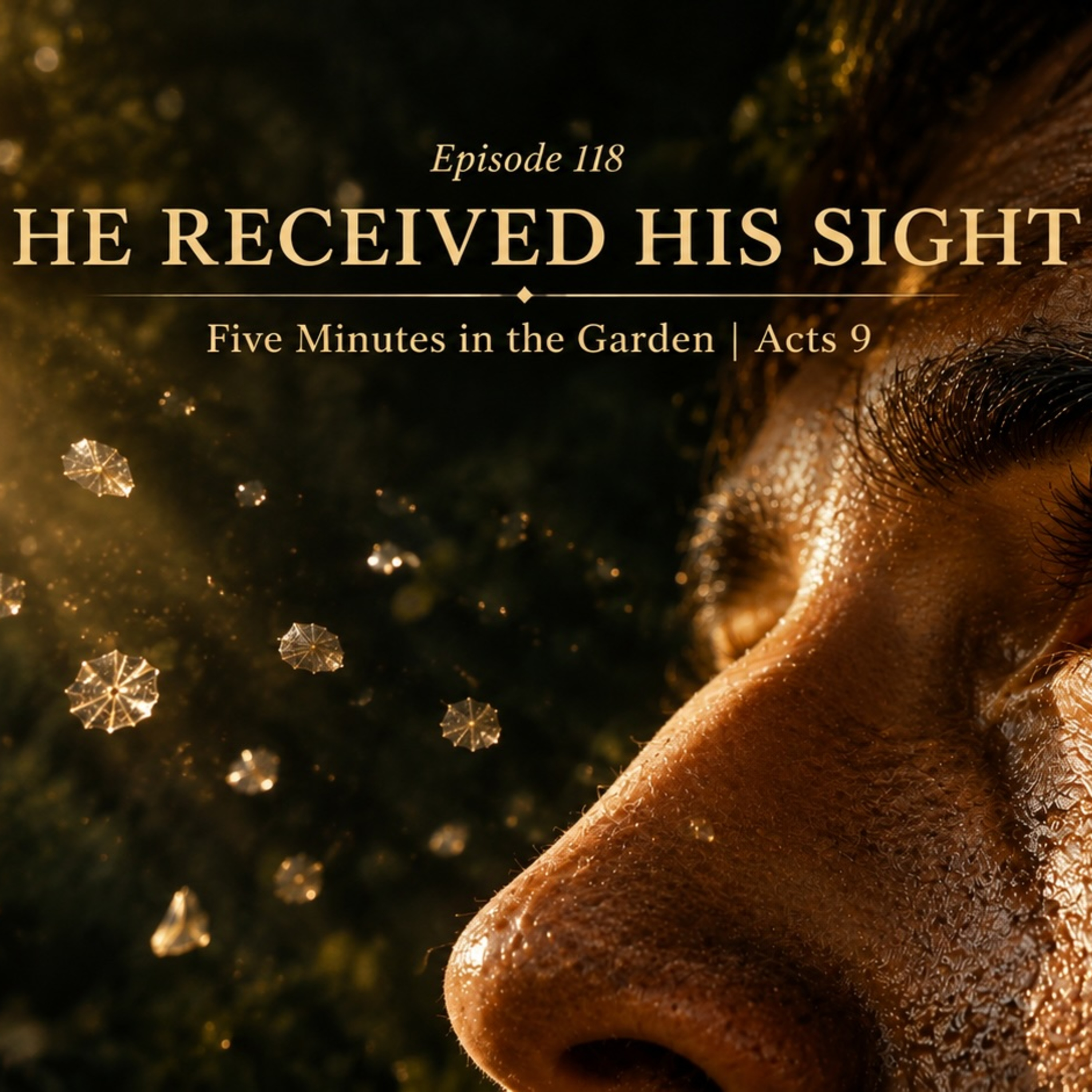 Episode 118 - He Received His Sight episode artwork