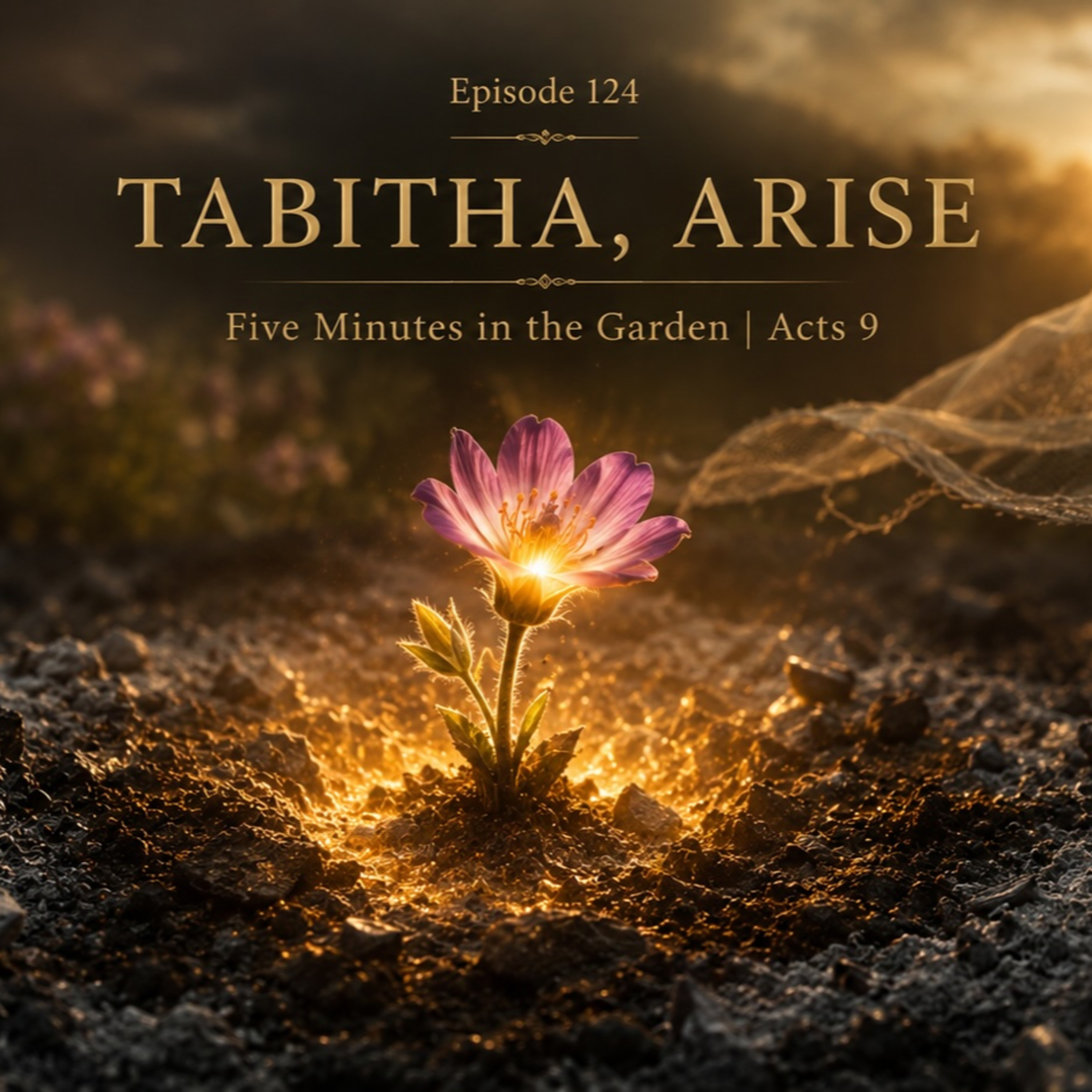 Episode 124 - Tabitha, Arise episode artwork