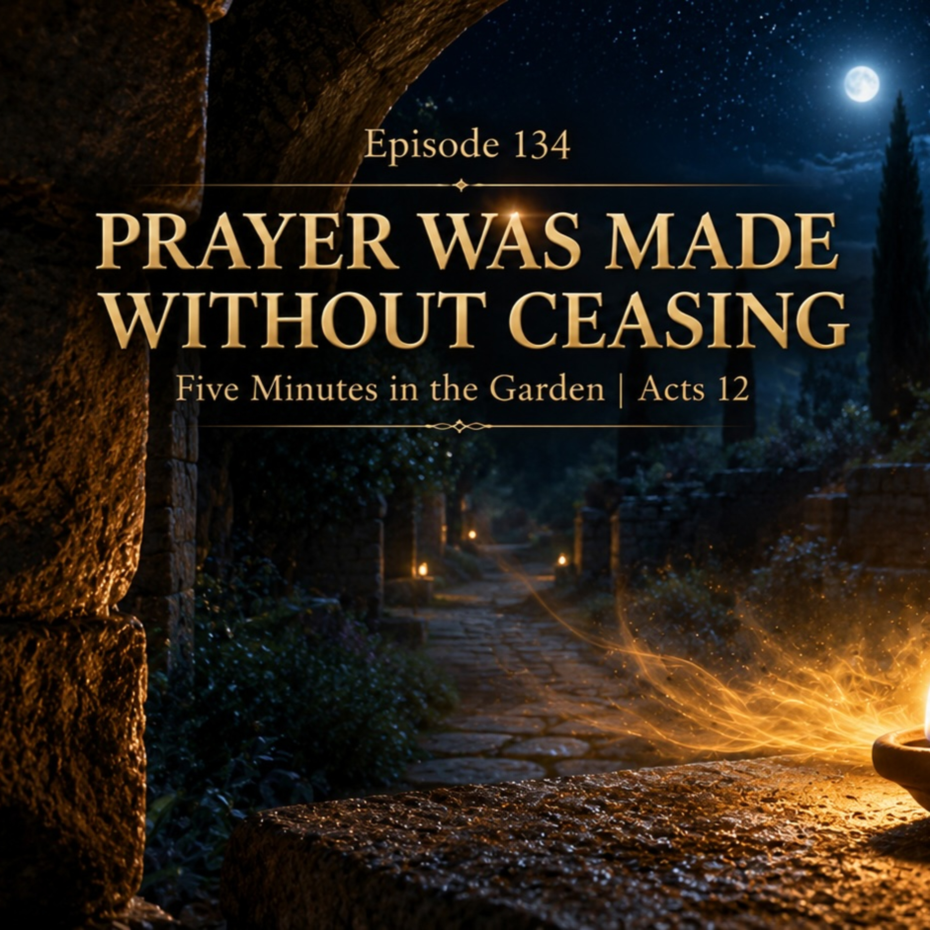 Episode 134 - Prayer Was Made Without Ceasing episode artwork