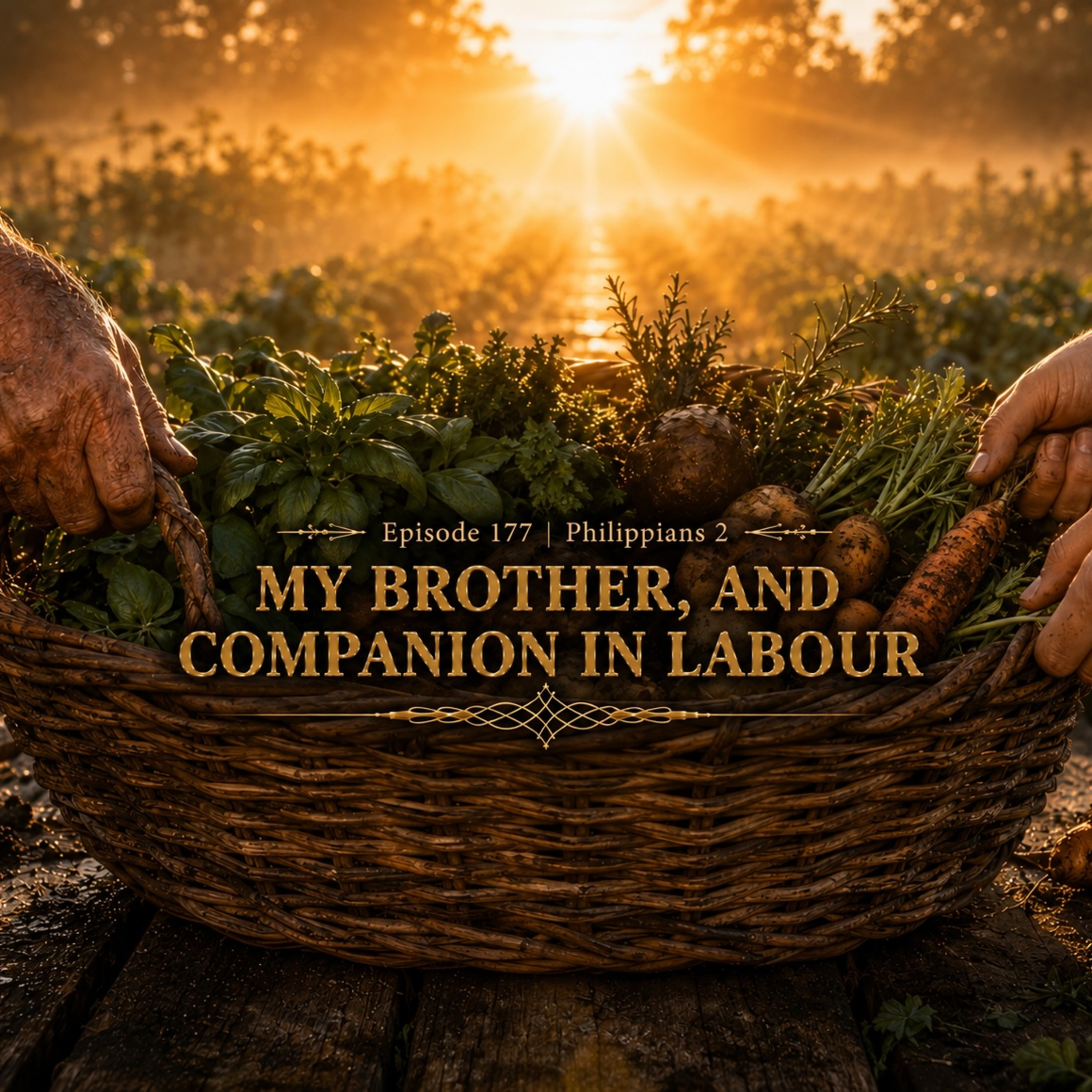 Episode 177 - My Brother, and Companion in Labour episode artwork